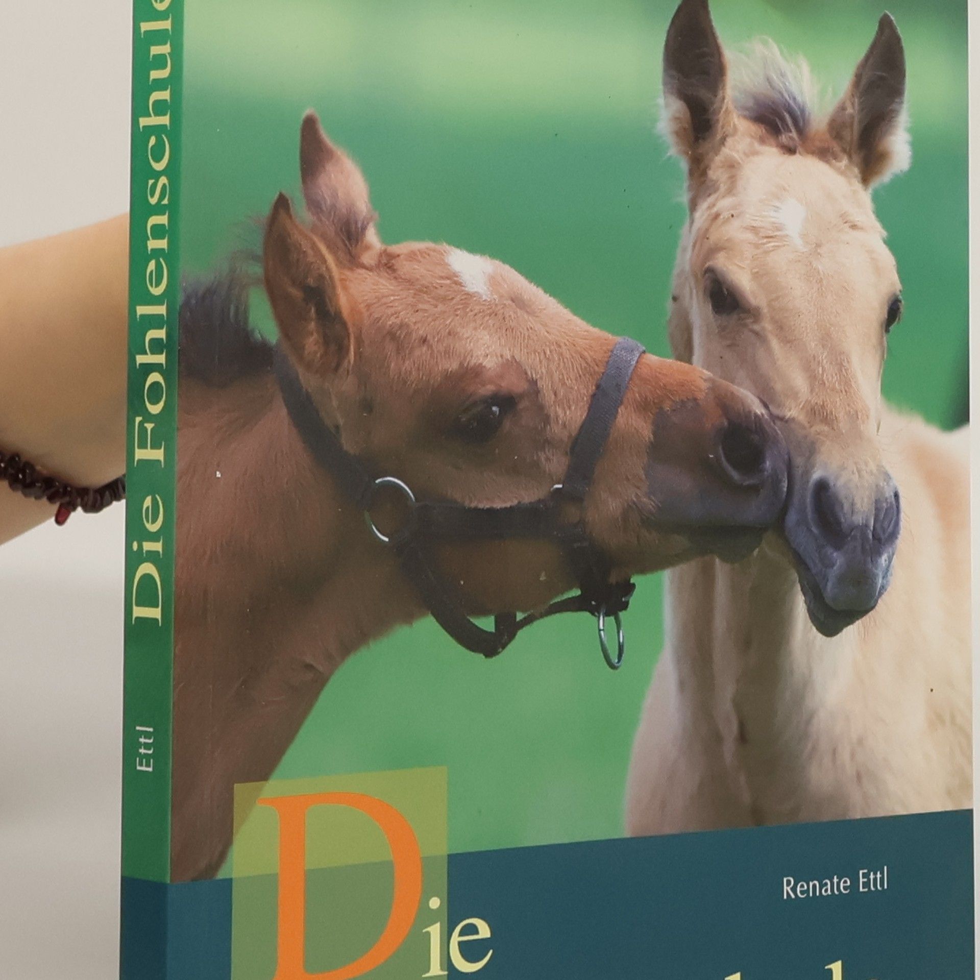 Renate Ettl Die Fohlenschule