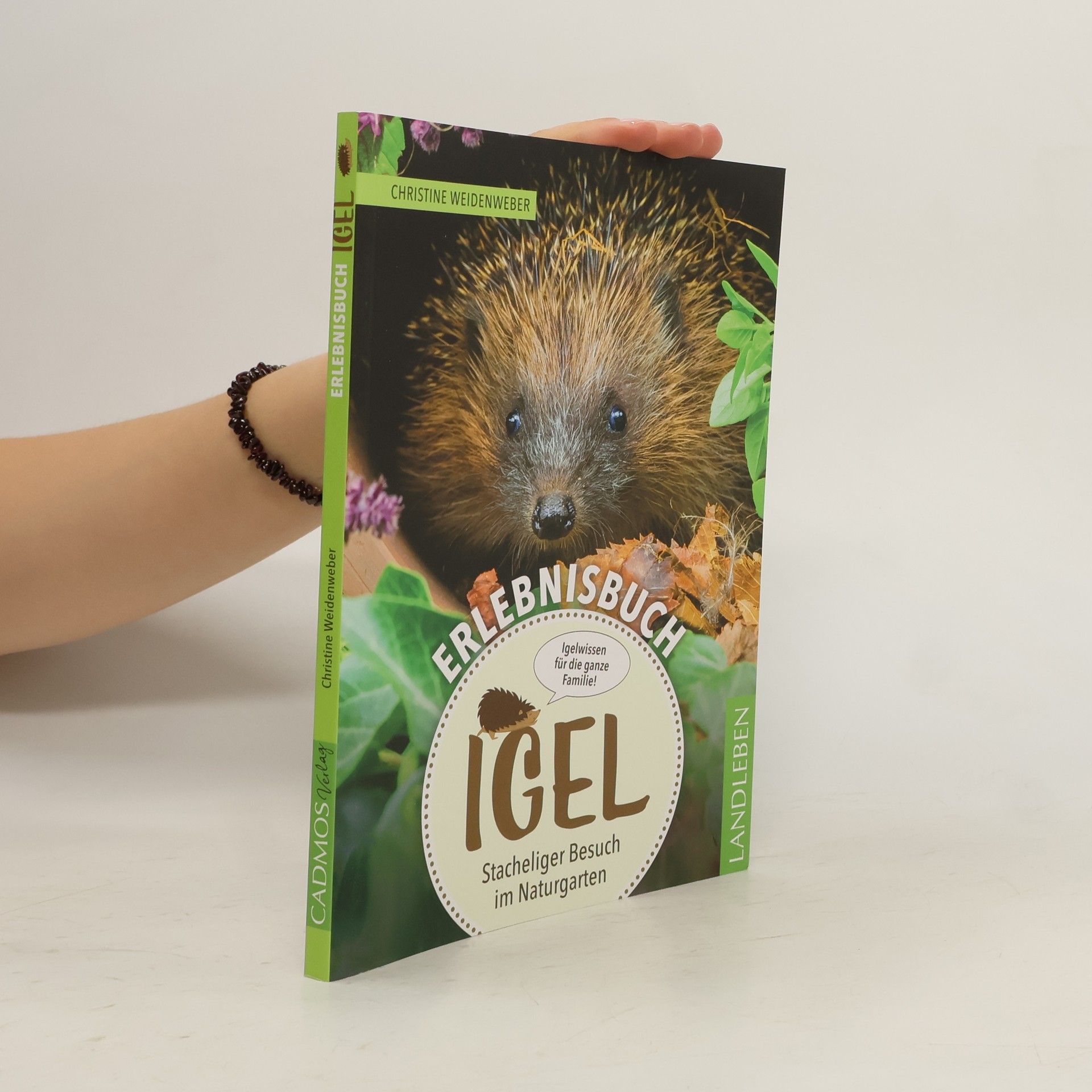 Christine Weidenweber Erlebnisbuch Igel