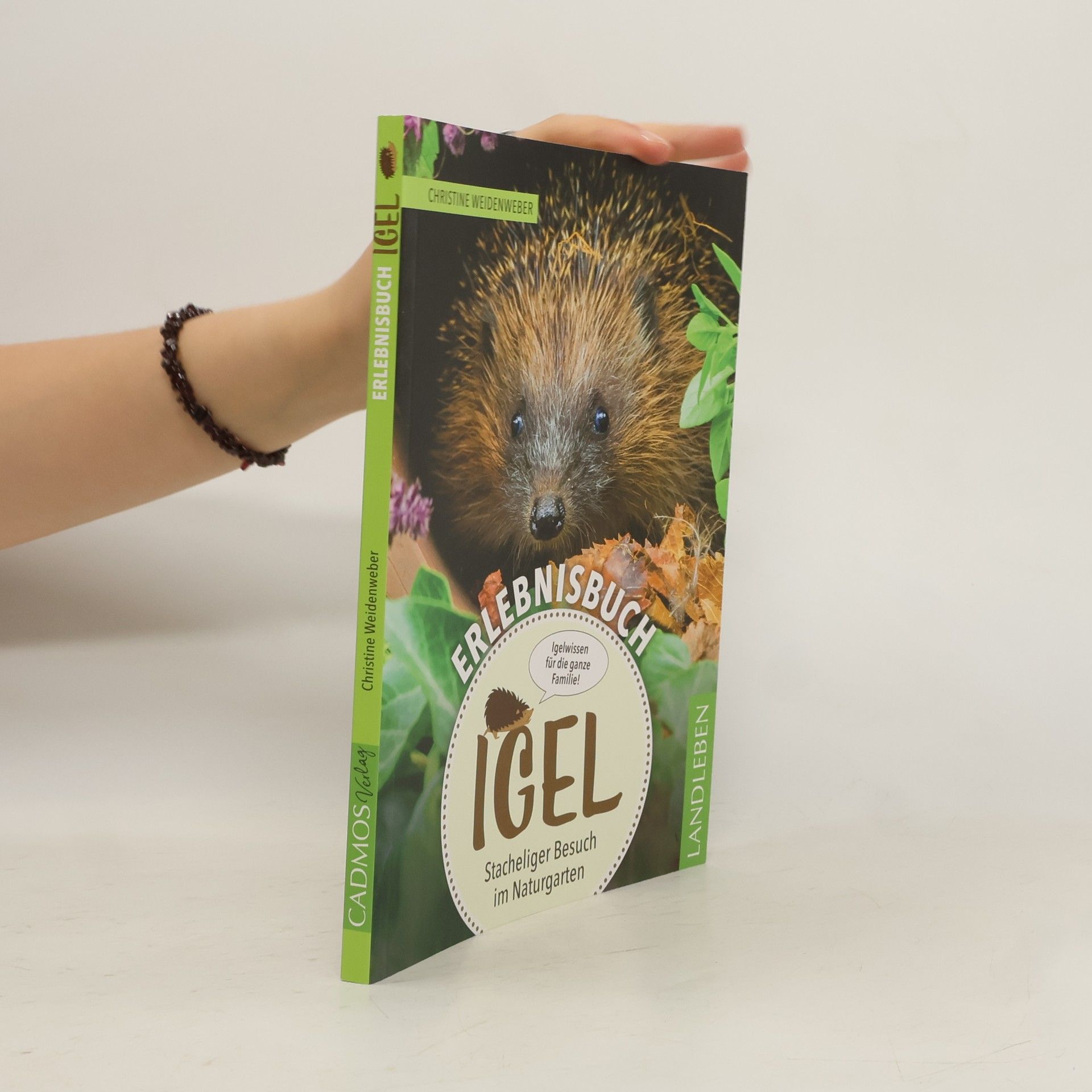 Christine Weidenweber Erlebnisbuch Igel