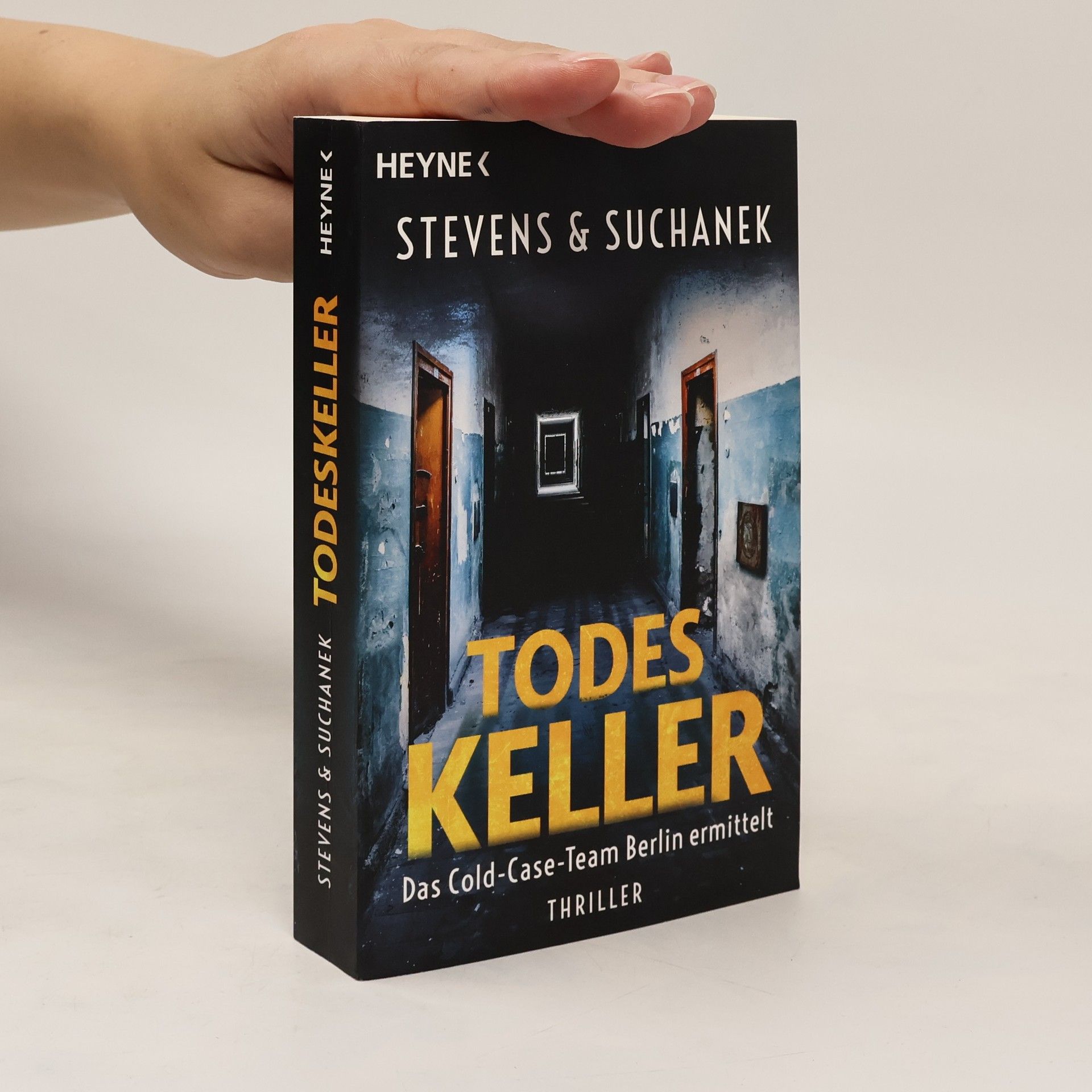 Nica Stevens Todeskeller. Das Cold-Case-Team Berlin ermittelt. Thriller