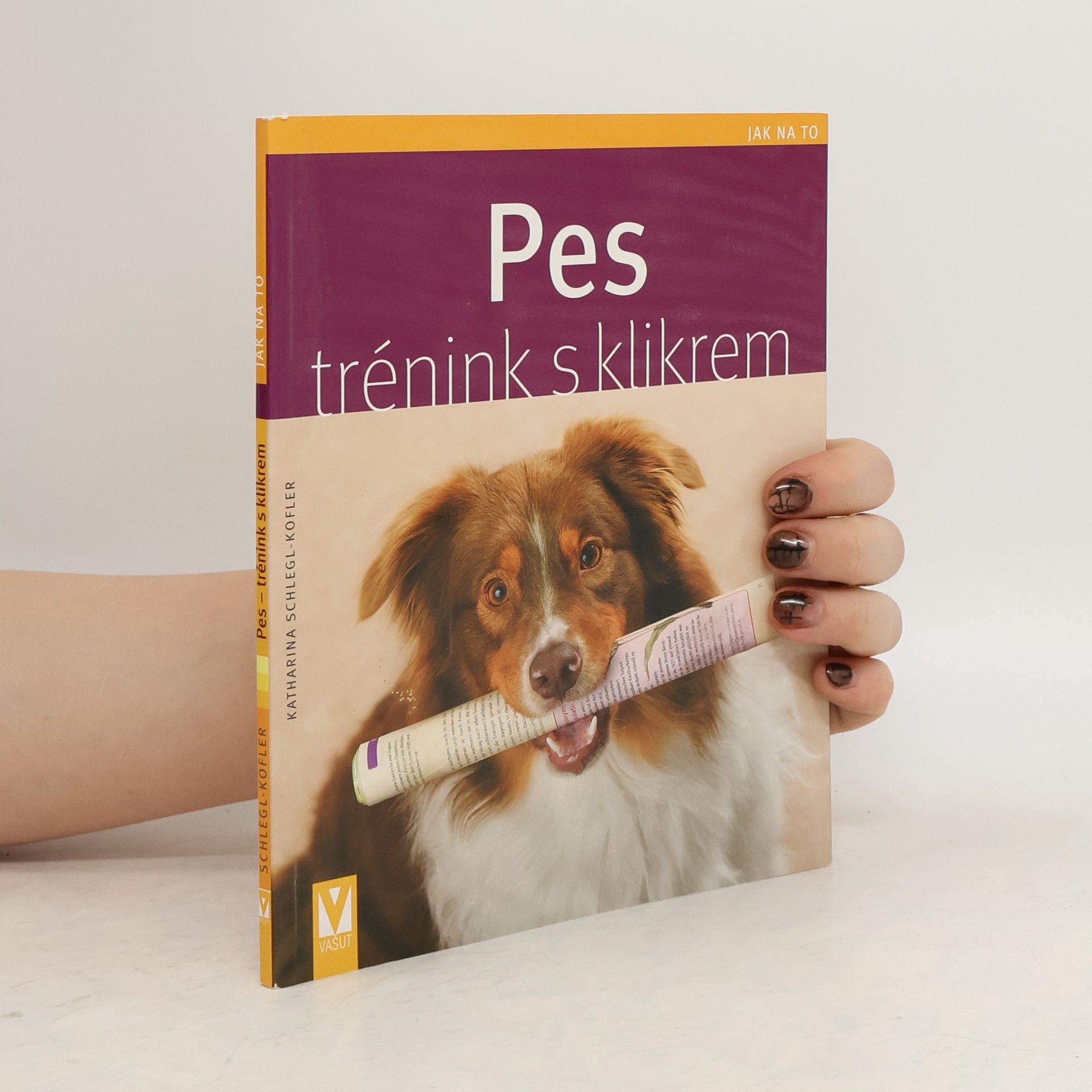 Pes - trénink s klikrem