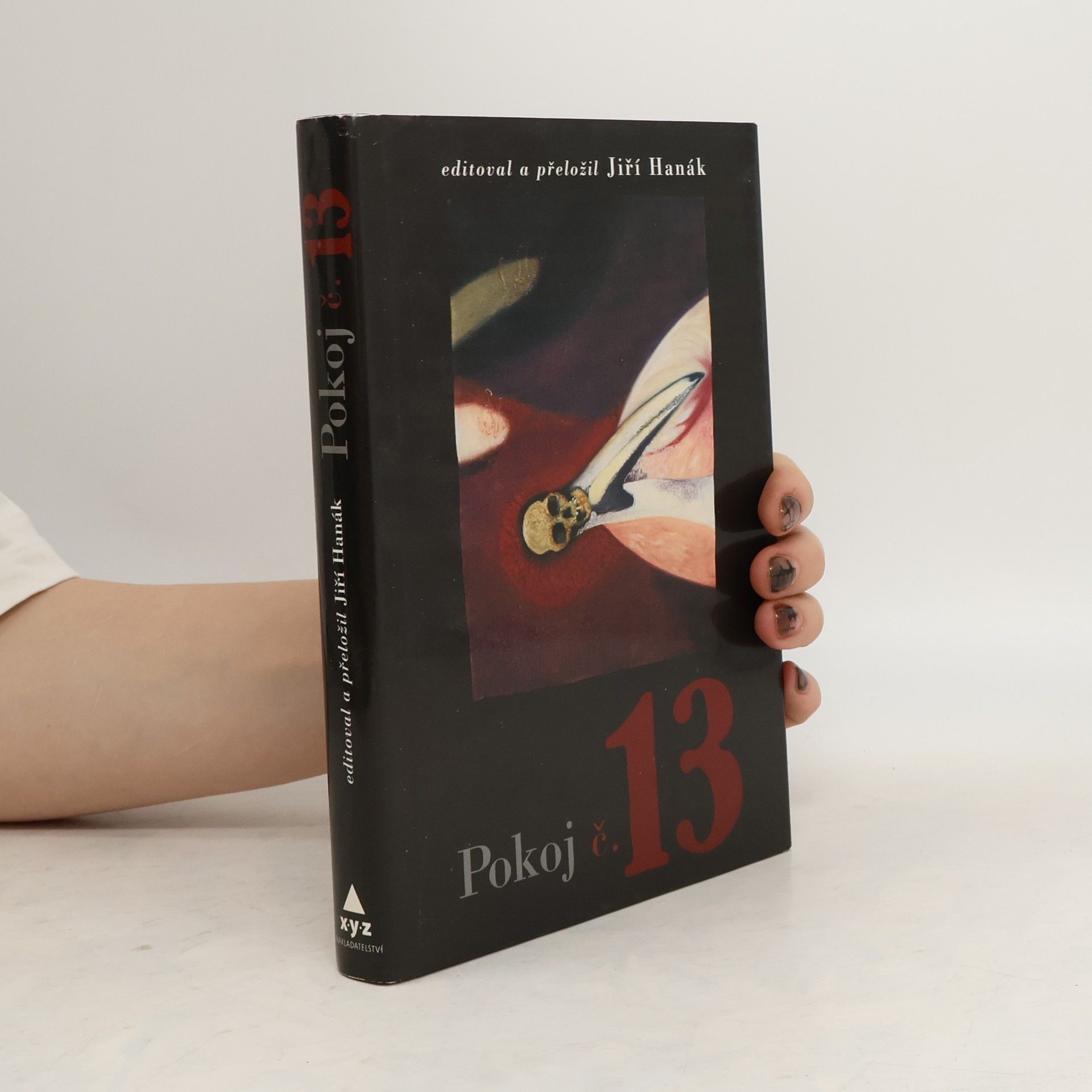 Jiří Hanák Pokoj č. 13