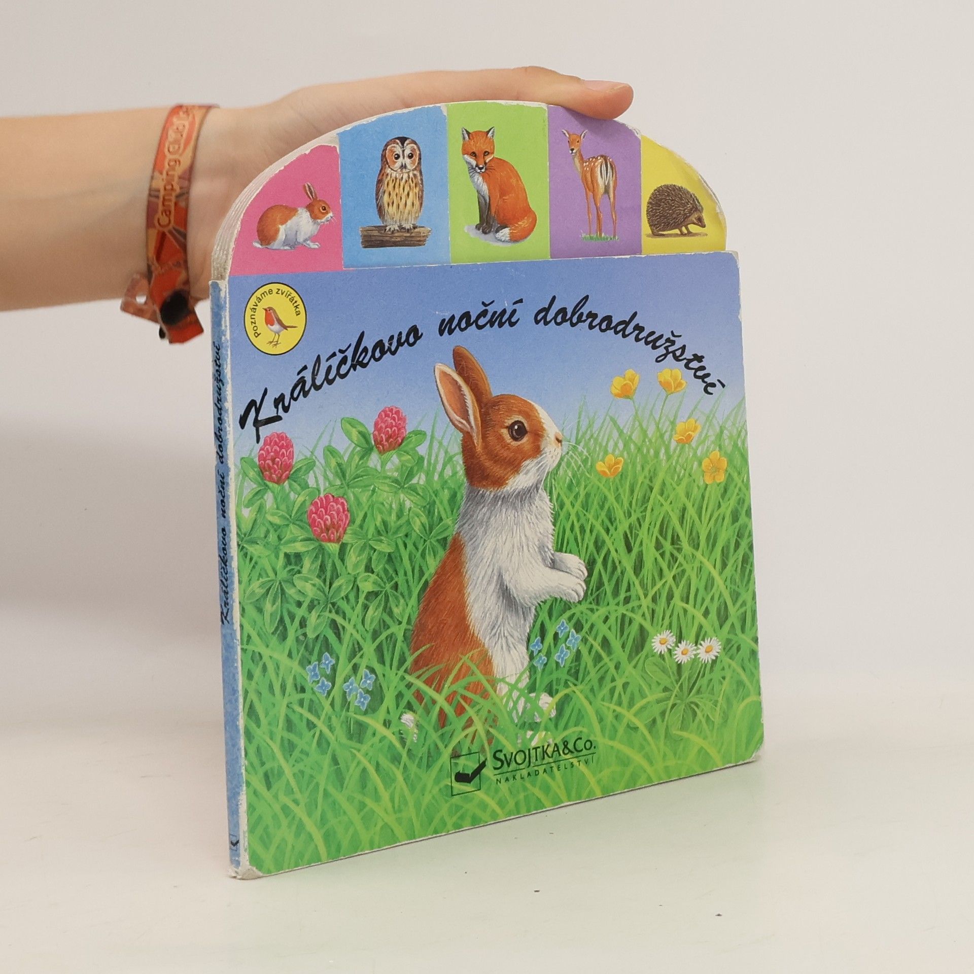 Autores varios Králíčkovo noční dobrodružství