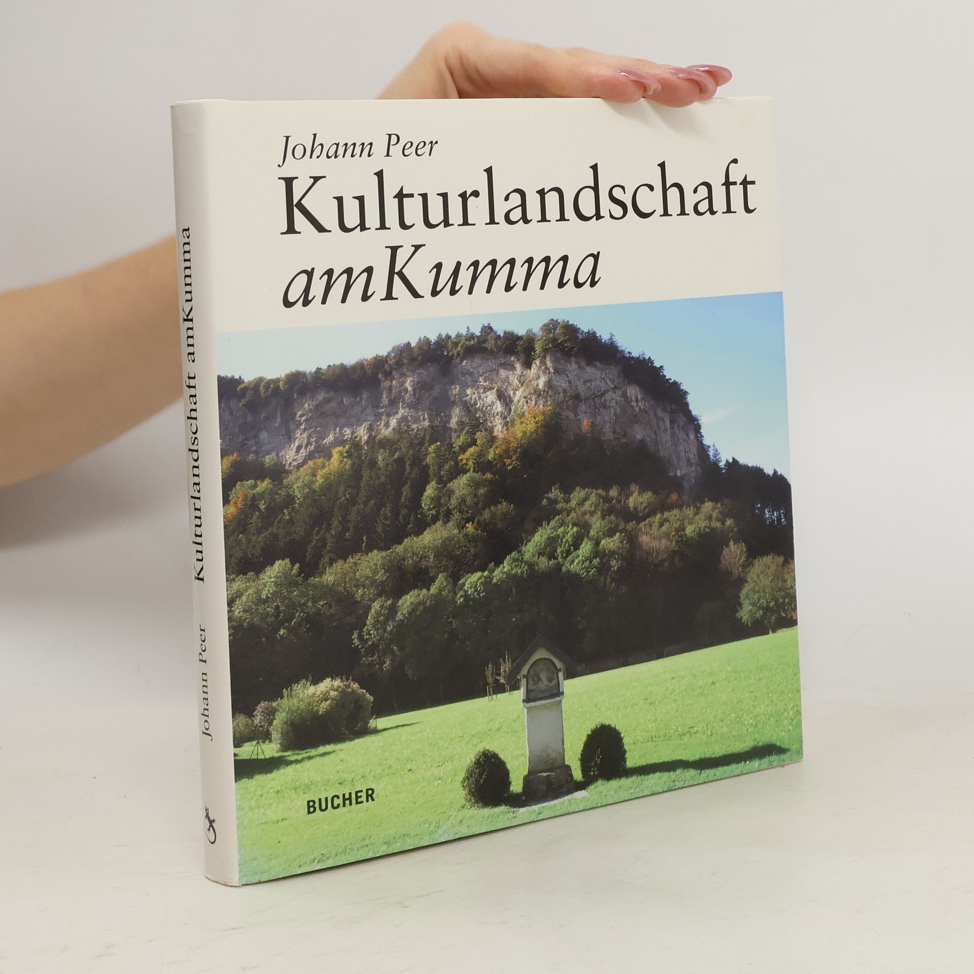 Johann Peer Kulturlandschaft amKumma