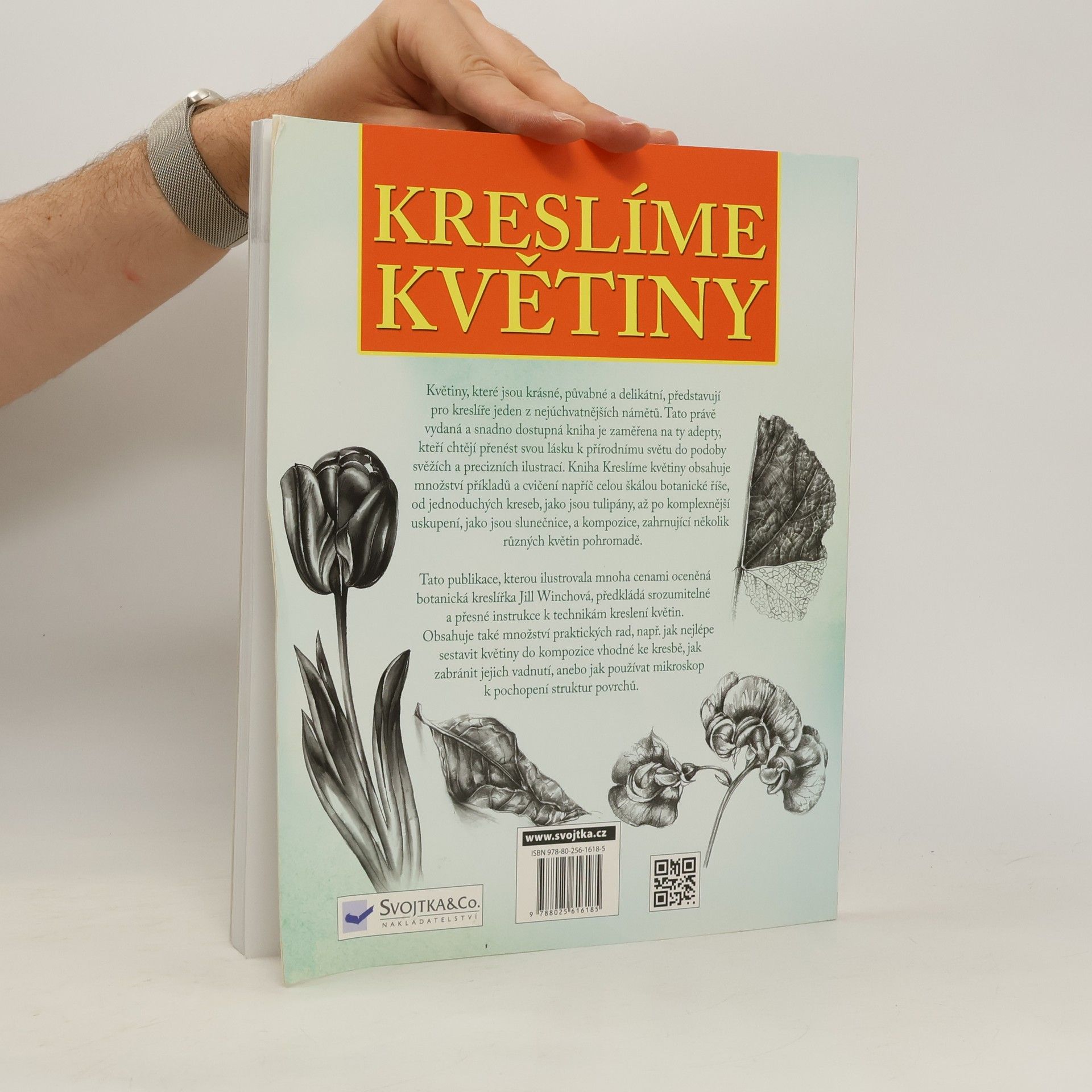 Jill Winch Kreslíme květiny