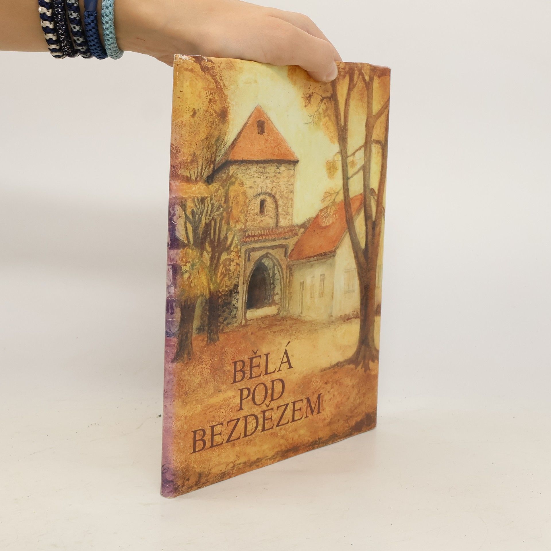 Kolektiv autorů Bělá pod Bezdězem