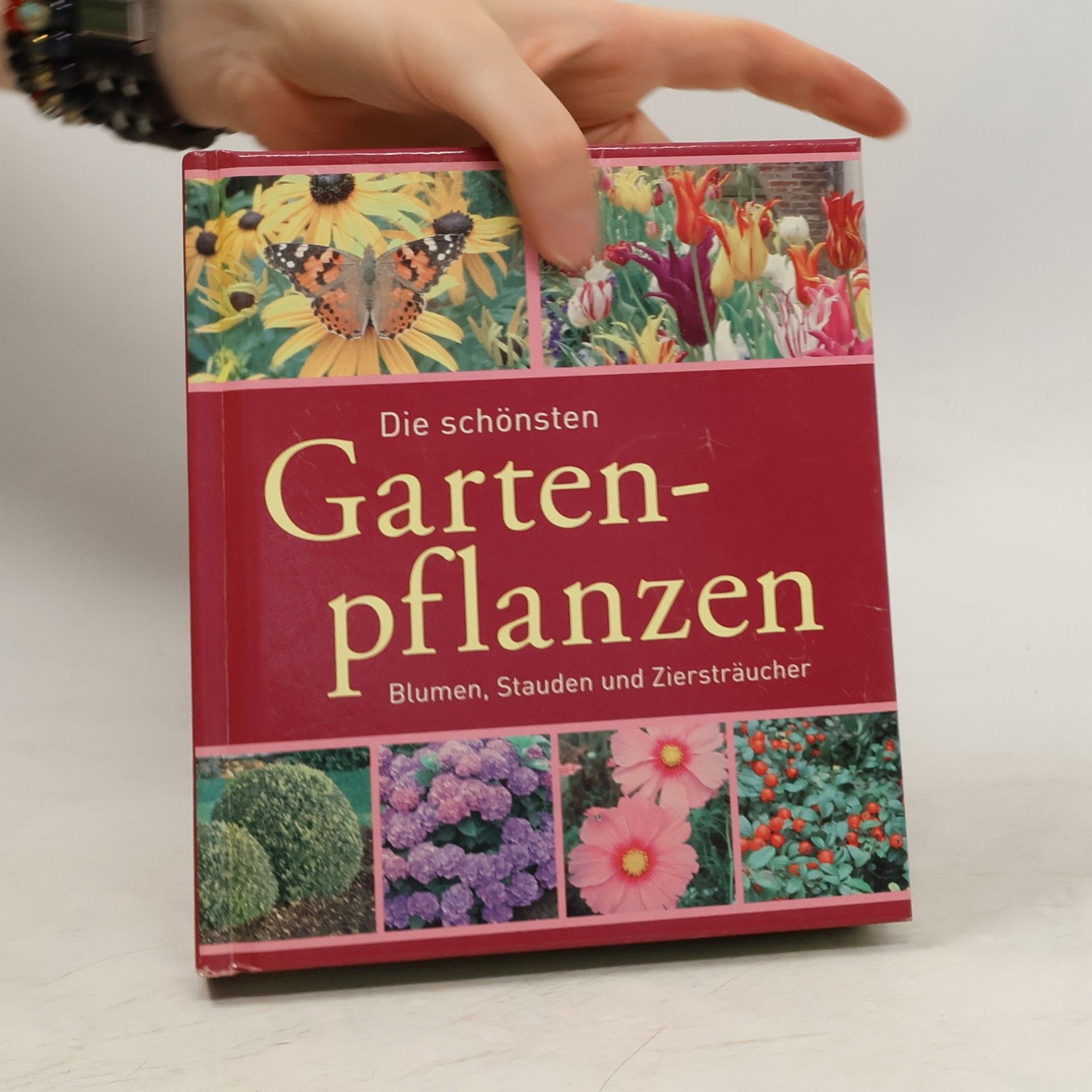 Autorenkollektiv Die schönsten Gartenpflanzen