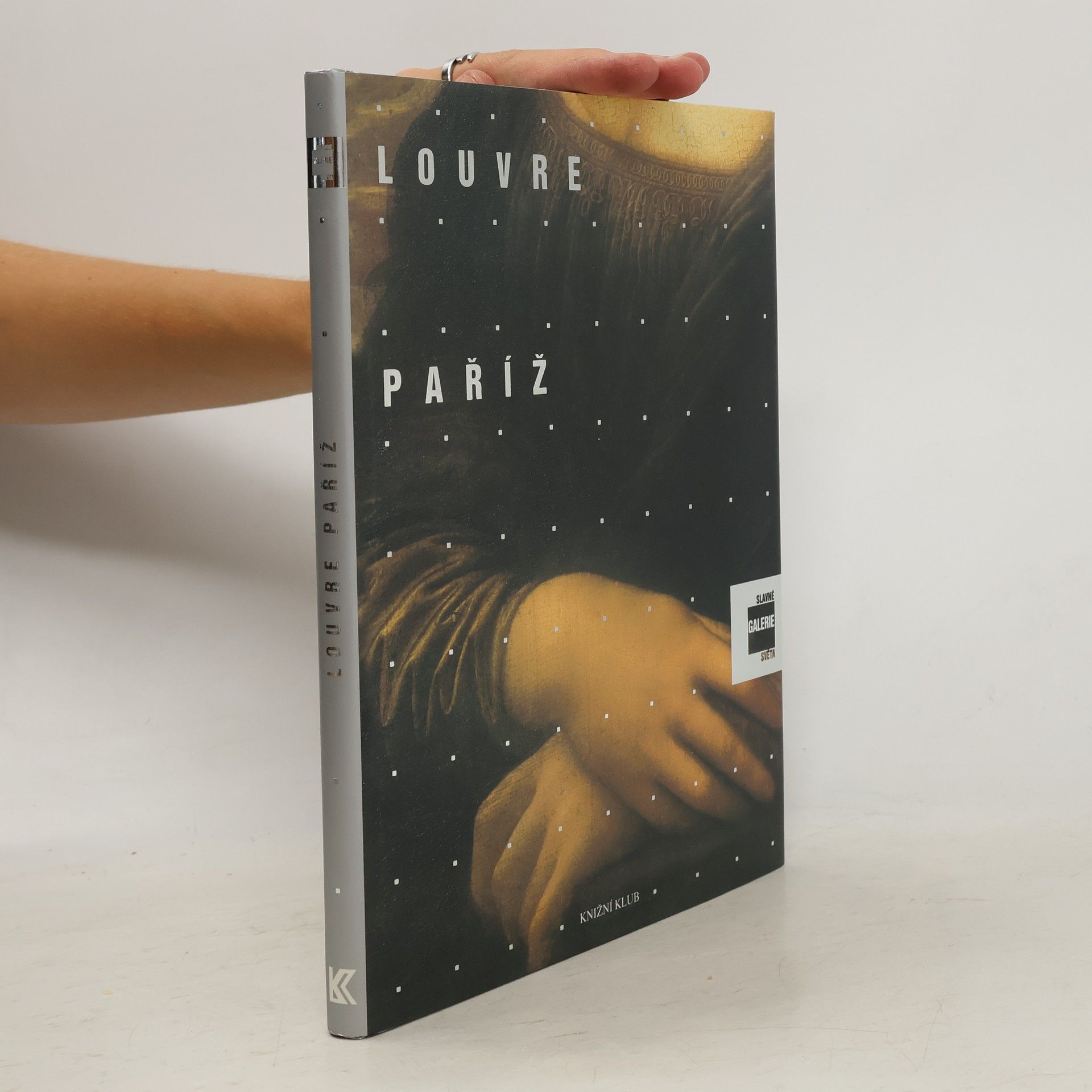 Alessandra Fregolent Slavné galerie světa. Louvre - Paříž