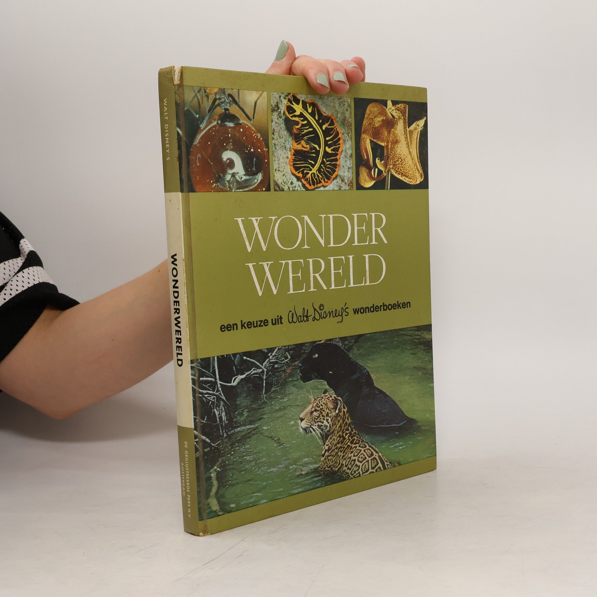 Collective Wonderwereld