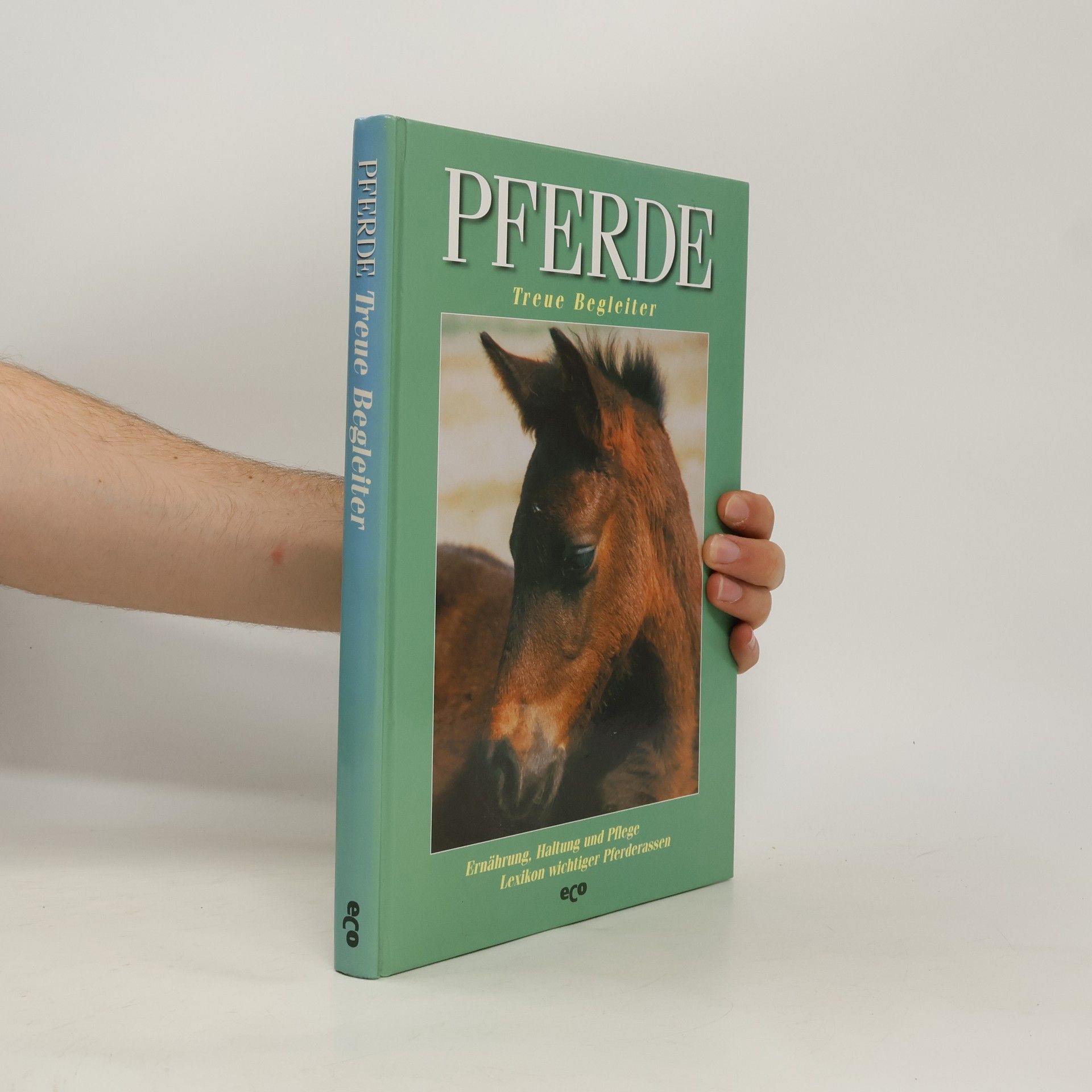 Joachim Grau Pferde: treue Begleiter