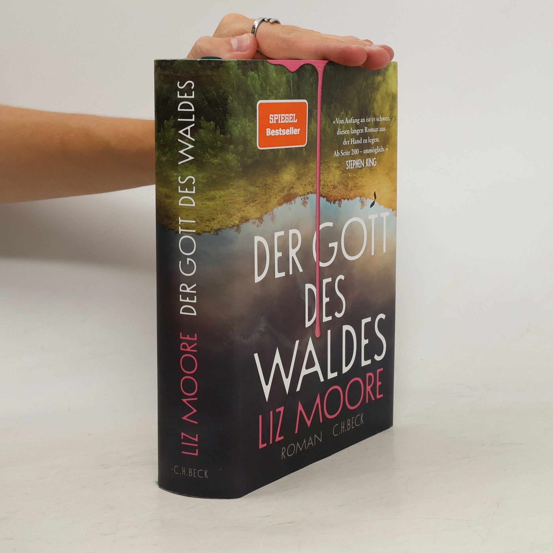 Liz Moore Der Gott des Waldes