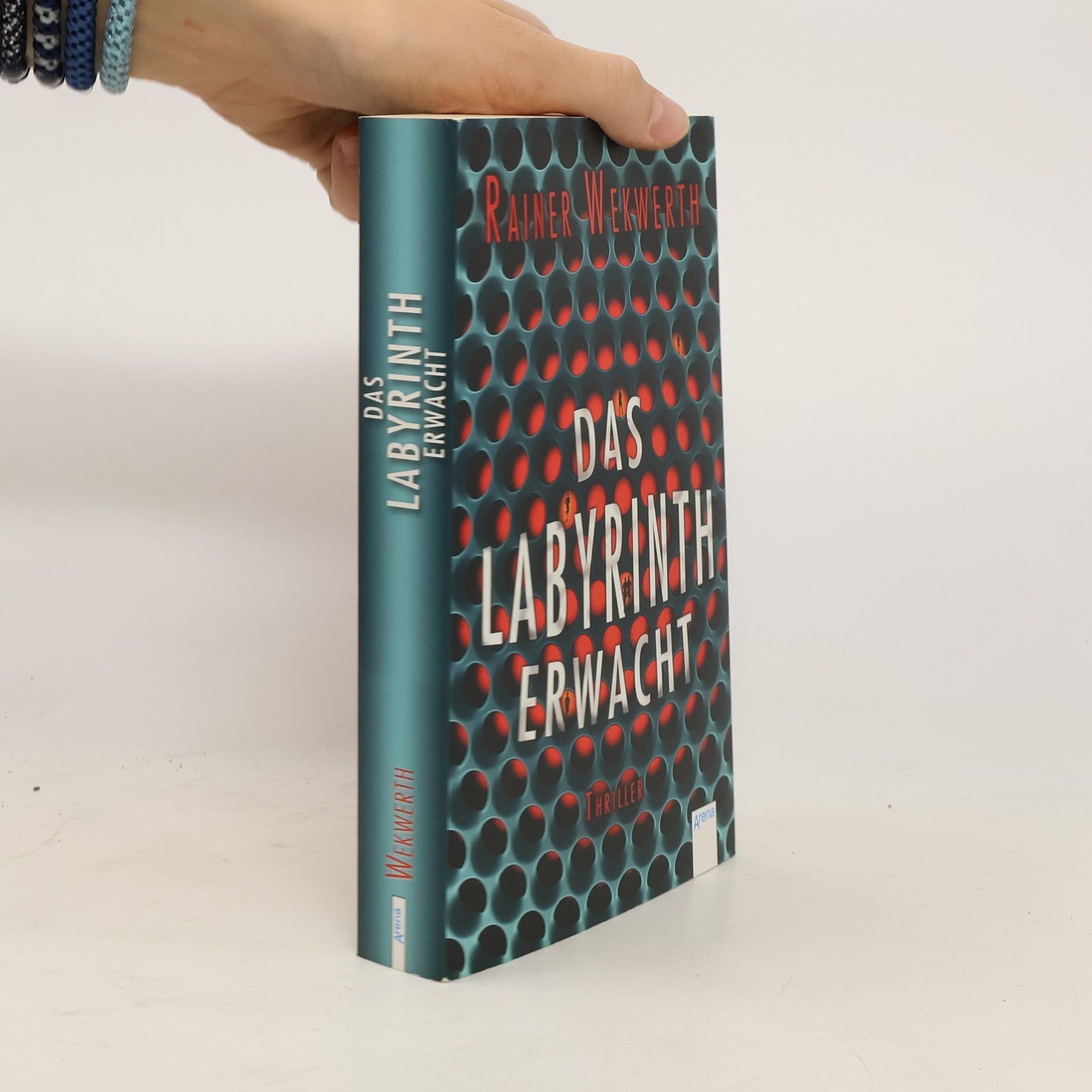Rainer Wekwerth Das Labyrinth erwacht