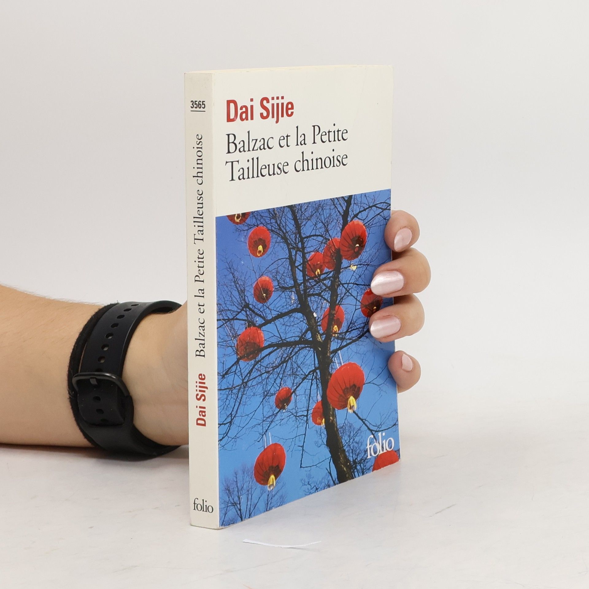 Sijie Dai Balzac et la petite tailleuse chinoise