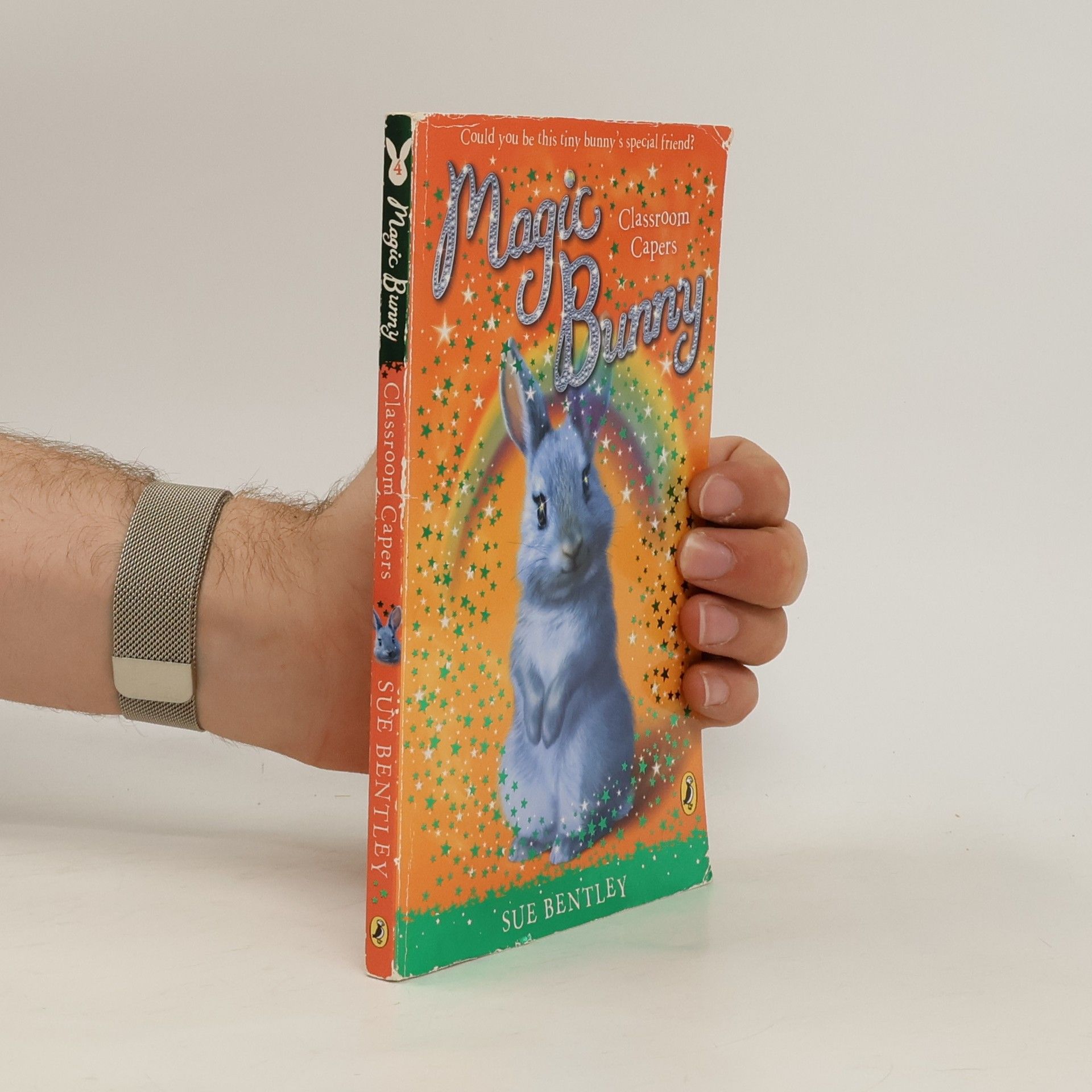 Sue Bentley Magic Bunny: Classroom Capers