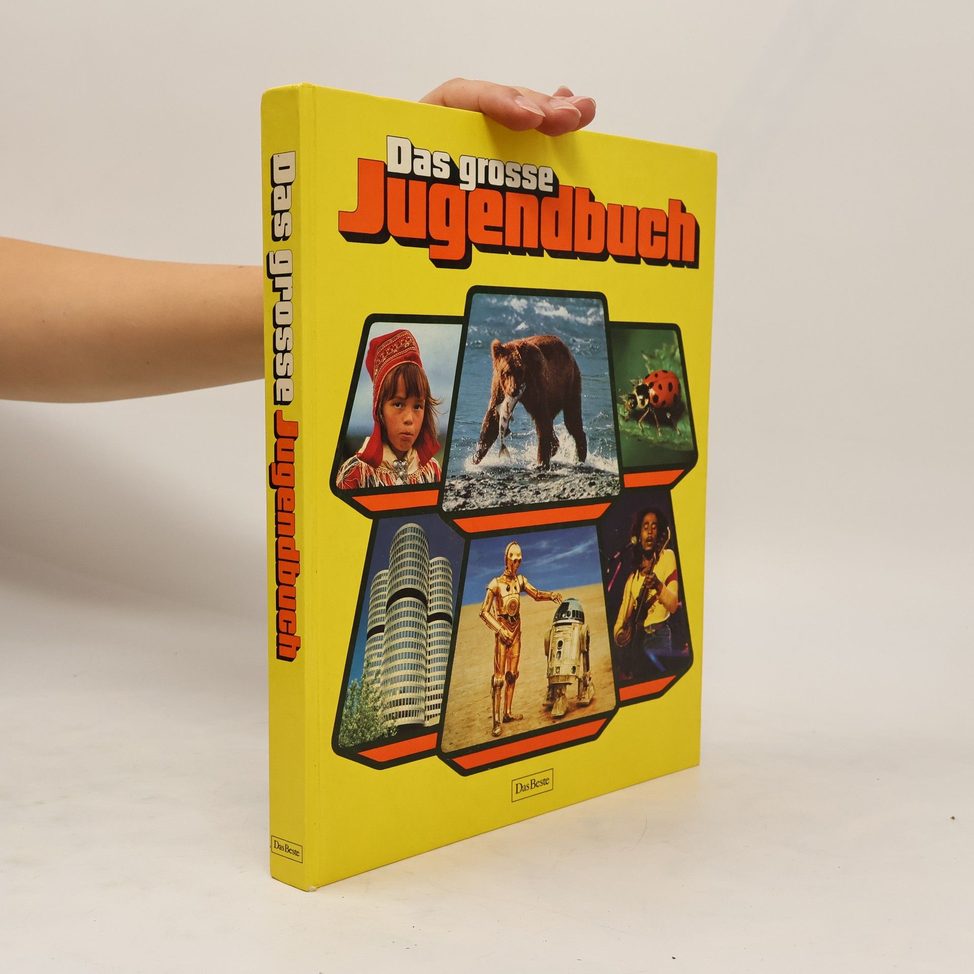 09 a83 Das grosse jugendbuch