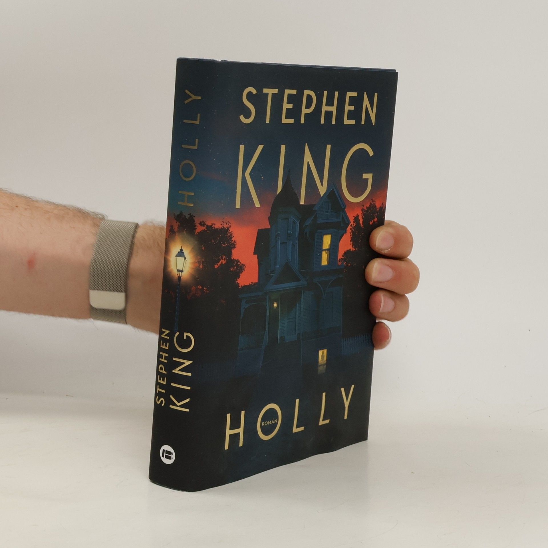 Stephen King Holly