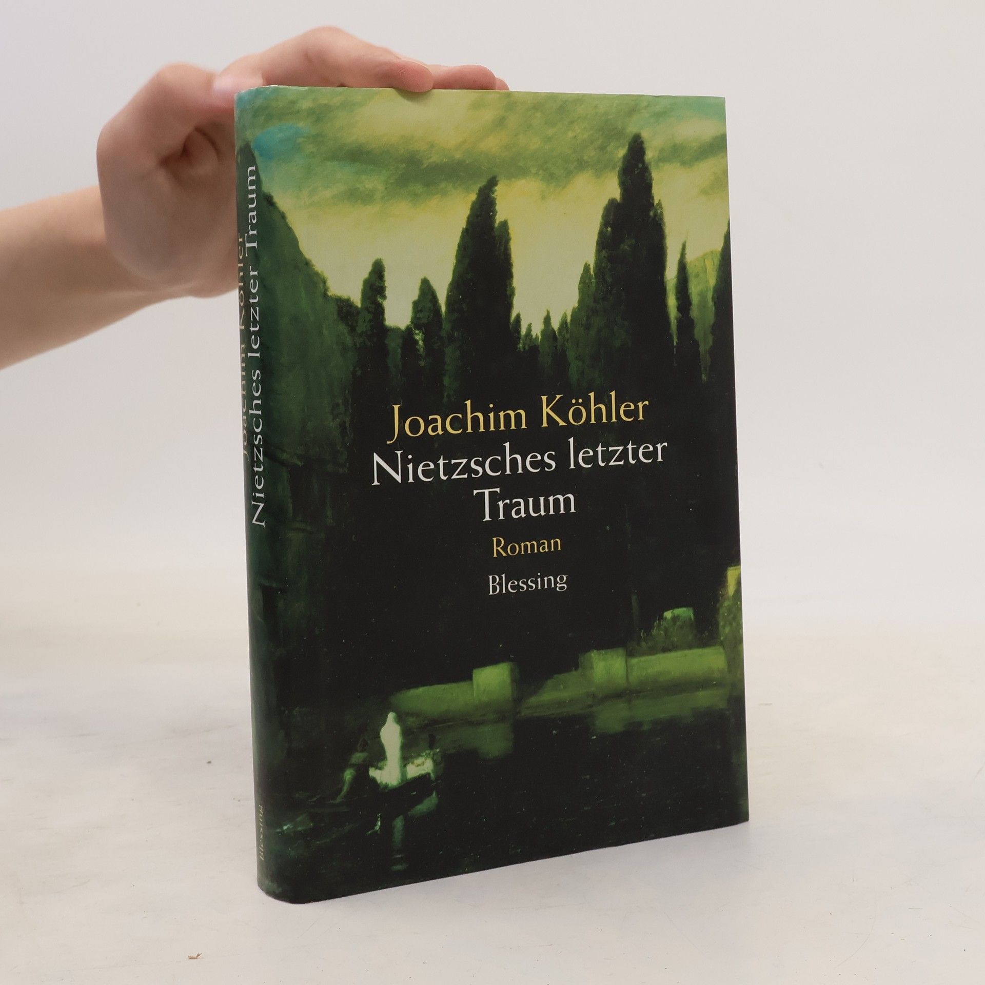 Joachim Köhler Nietzsches letzter Traum. Roman