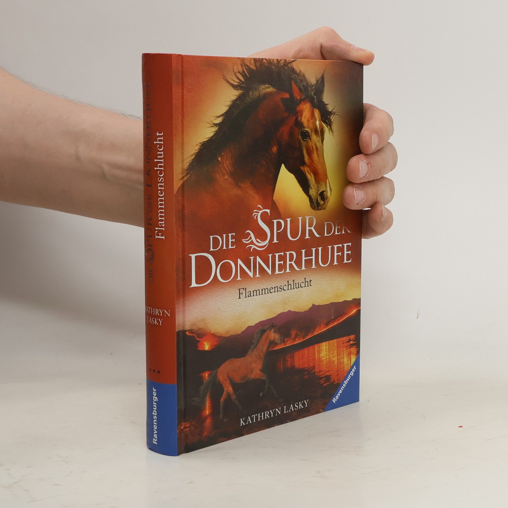 Kathryn Lasky Die Spur der Donnerhufe. Band 1: Flammenschlucht.