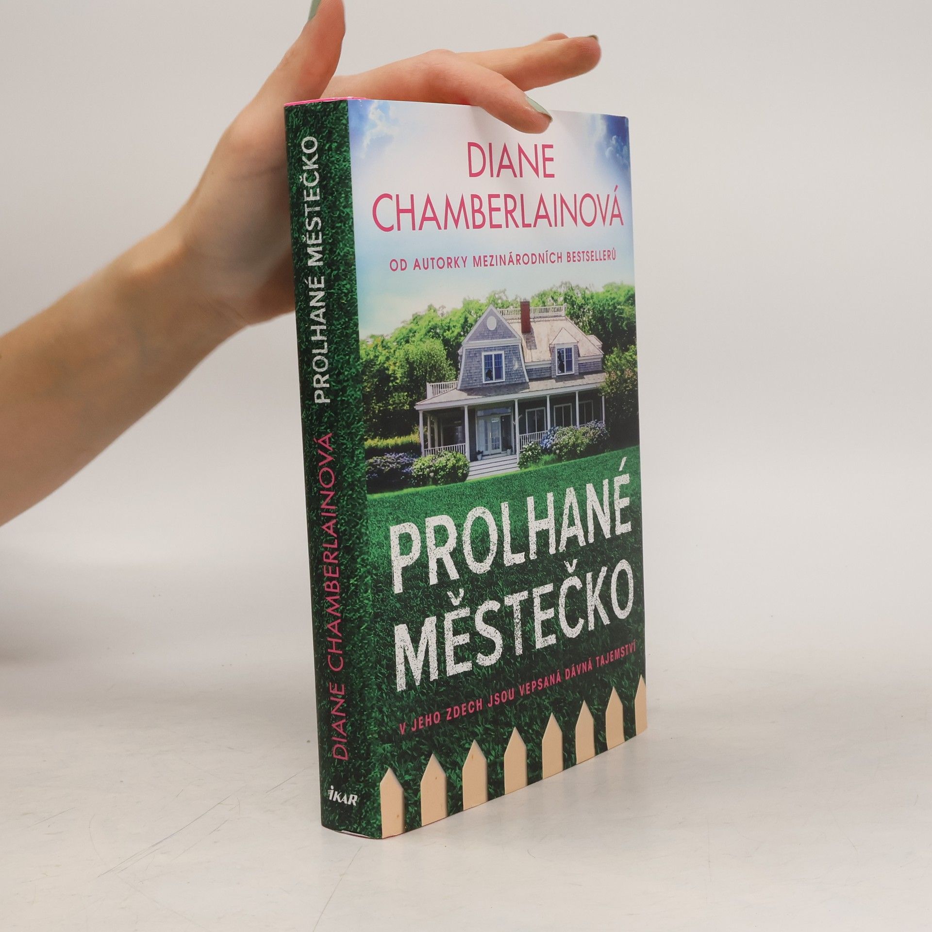 Diane Chamberlain Prolhané městečko