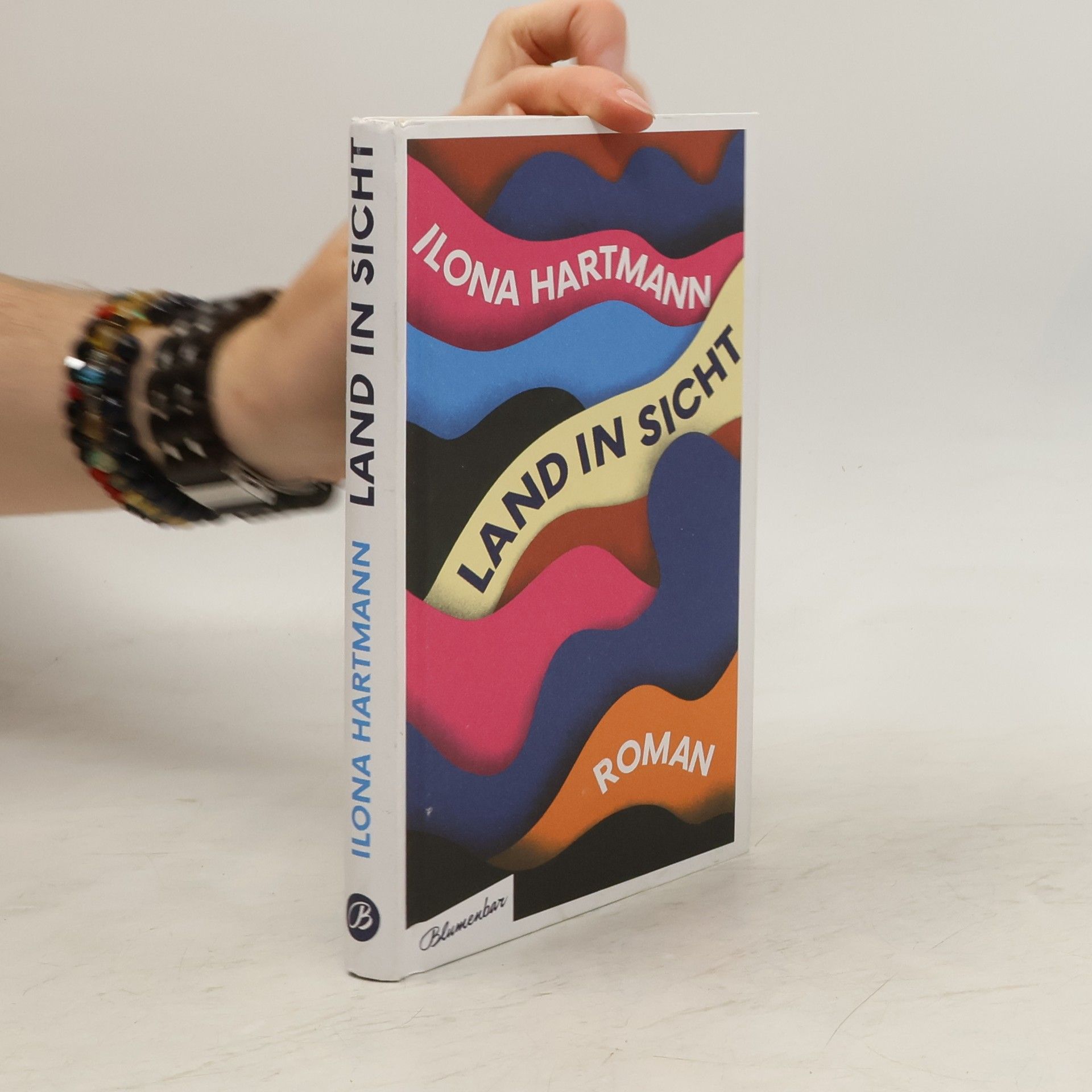 Ilona Hartmann Land in Sicht