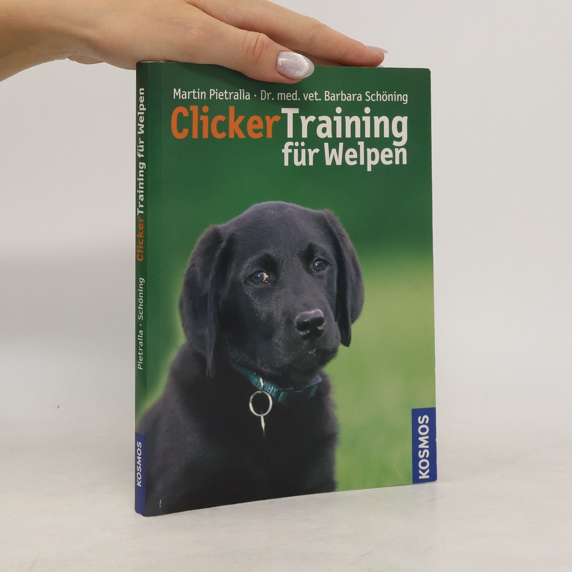 Clickertraining für Welpen