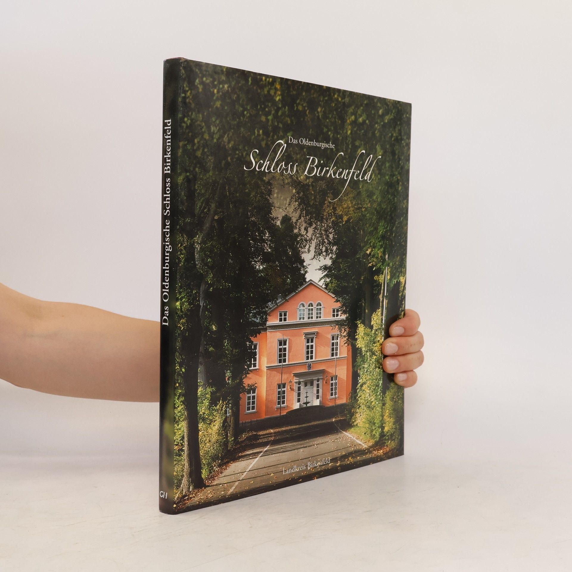 Tilman Sauer Das Oldenburgische Schloss Birkenfeld