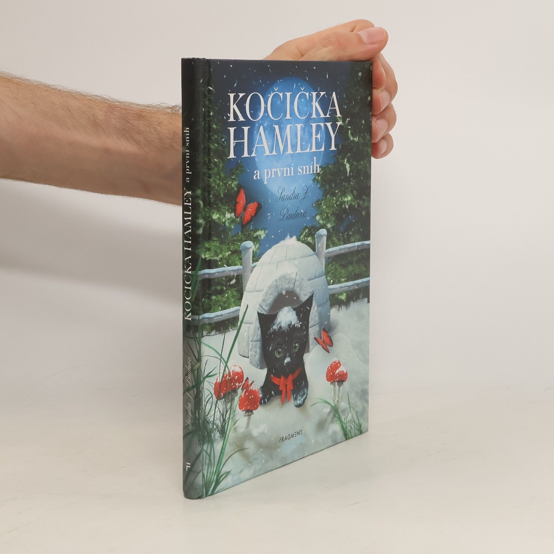Sandra E Hockenbury Kočička Hamley a první sníh