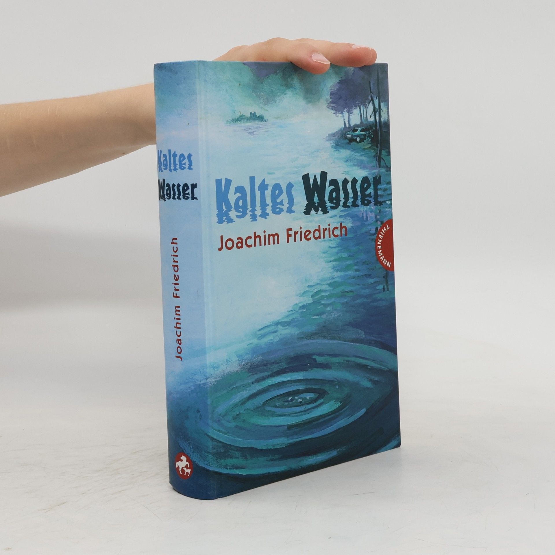 Joachim-Friedrich Kapp Kaltes Wasser
