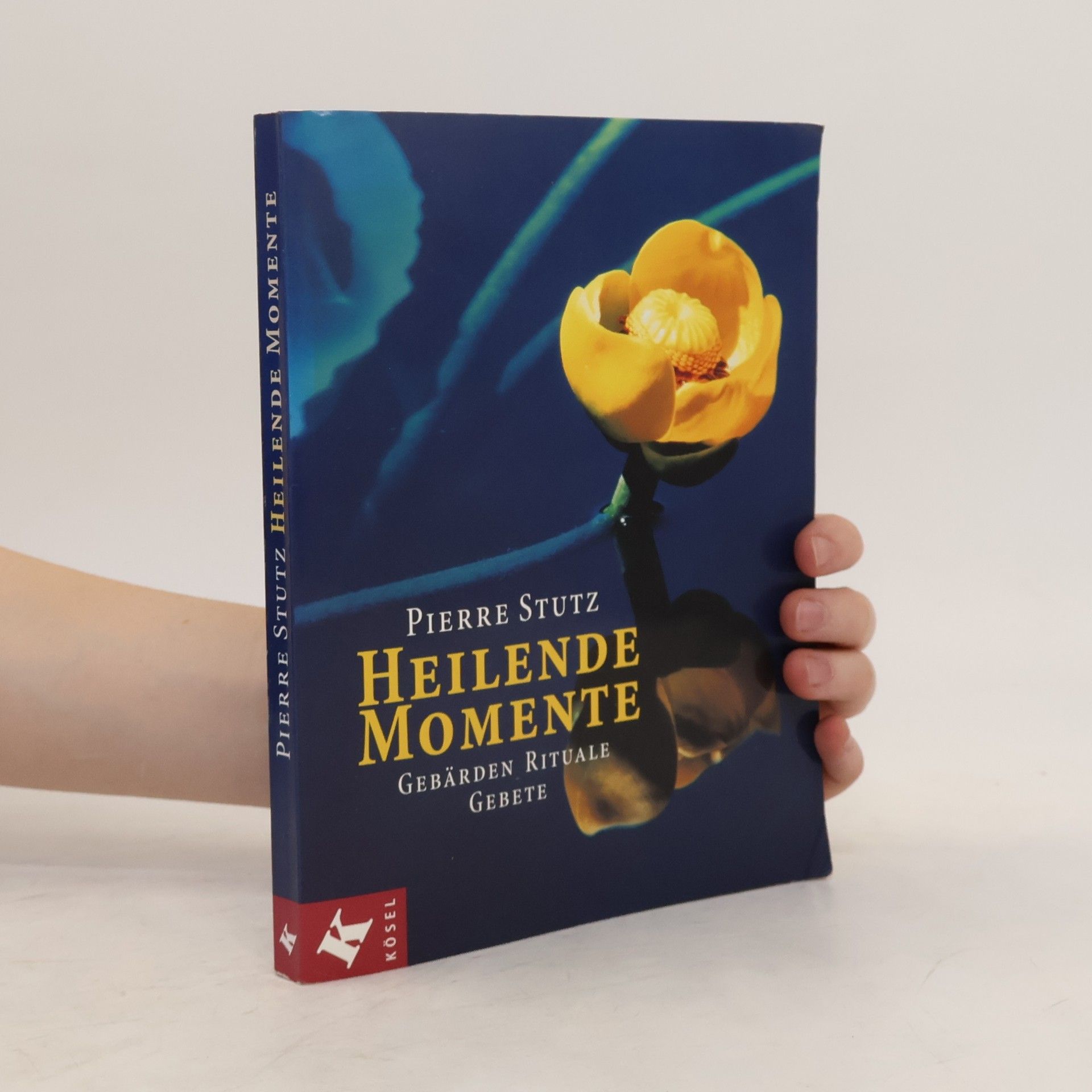 Pierre Stutz Heilende Momente
