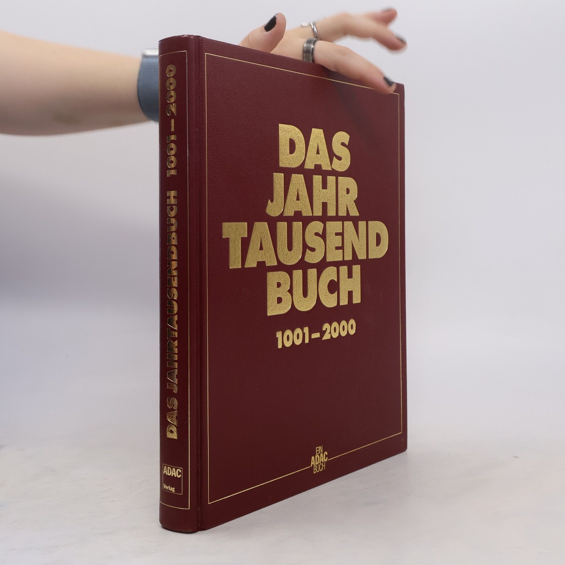 Uwe Birnstein Das Jahrtausendbuch 1001 -2000