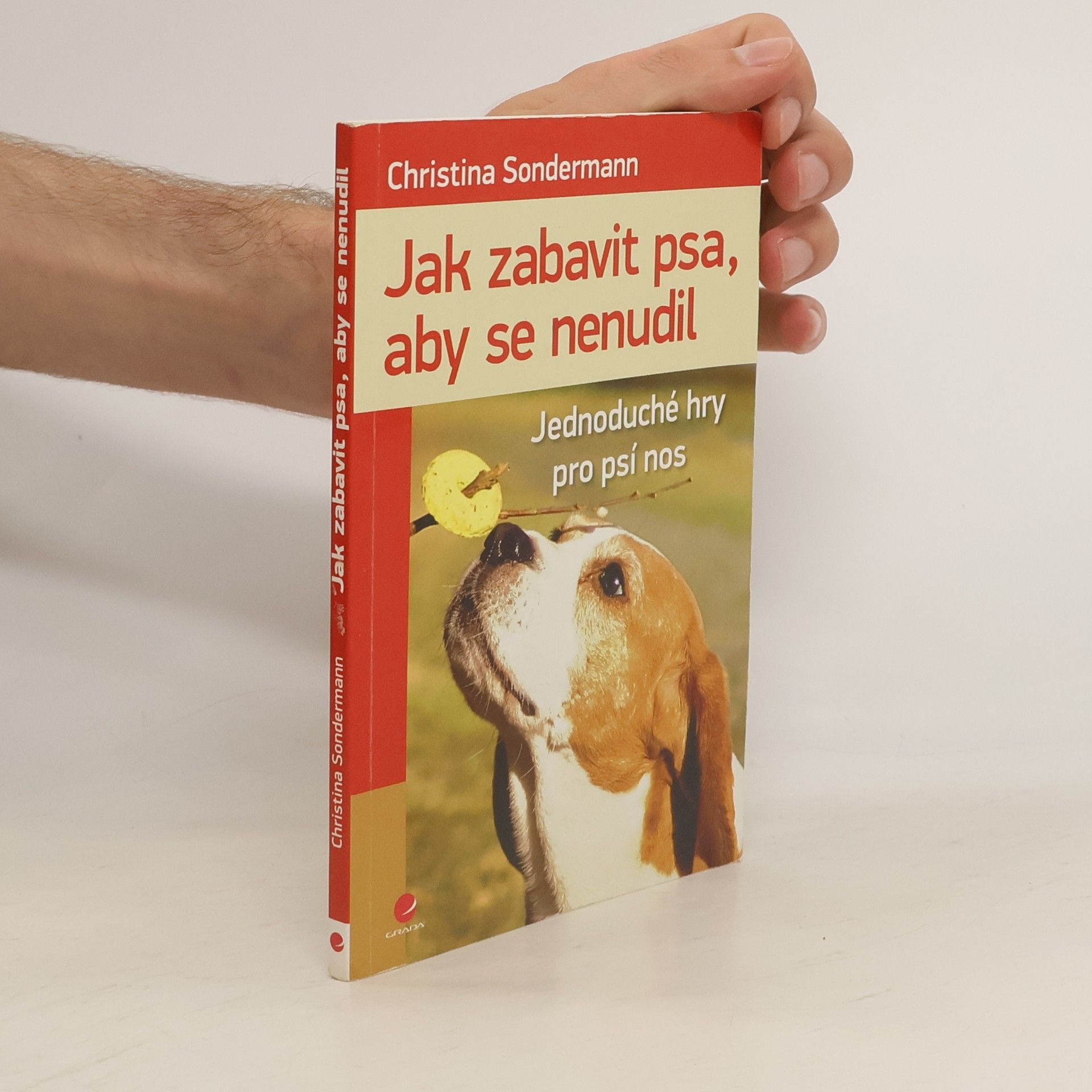 Christina Sondermann Jak zabavit psa, aby se nenudil : jednoduché hry pro psí nos