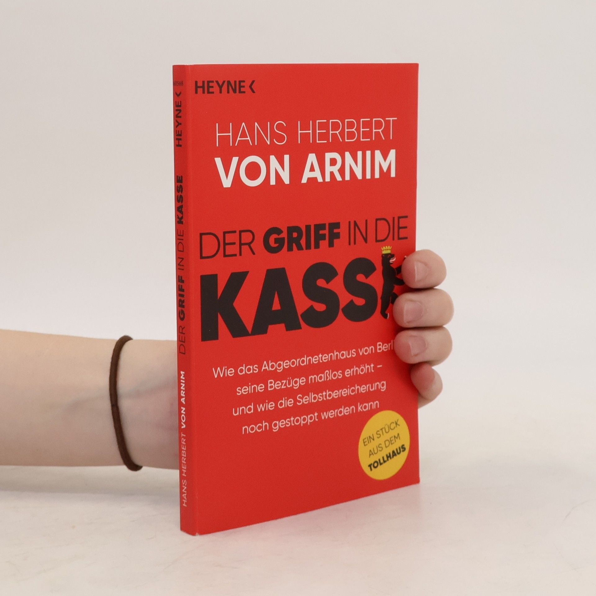 Hans Herbert von Arnim Der Griff in die Kasse