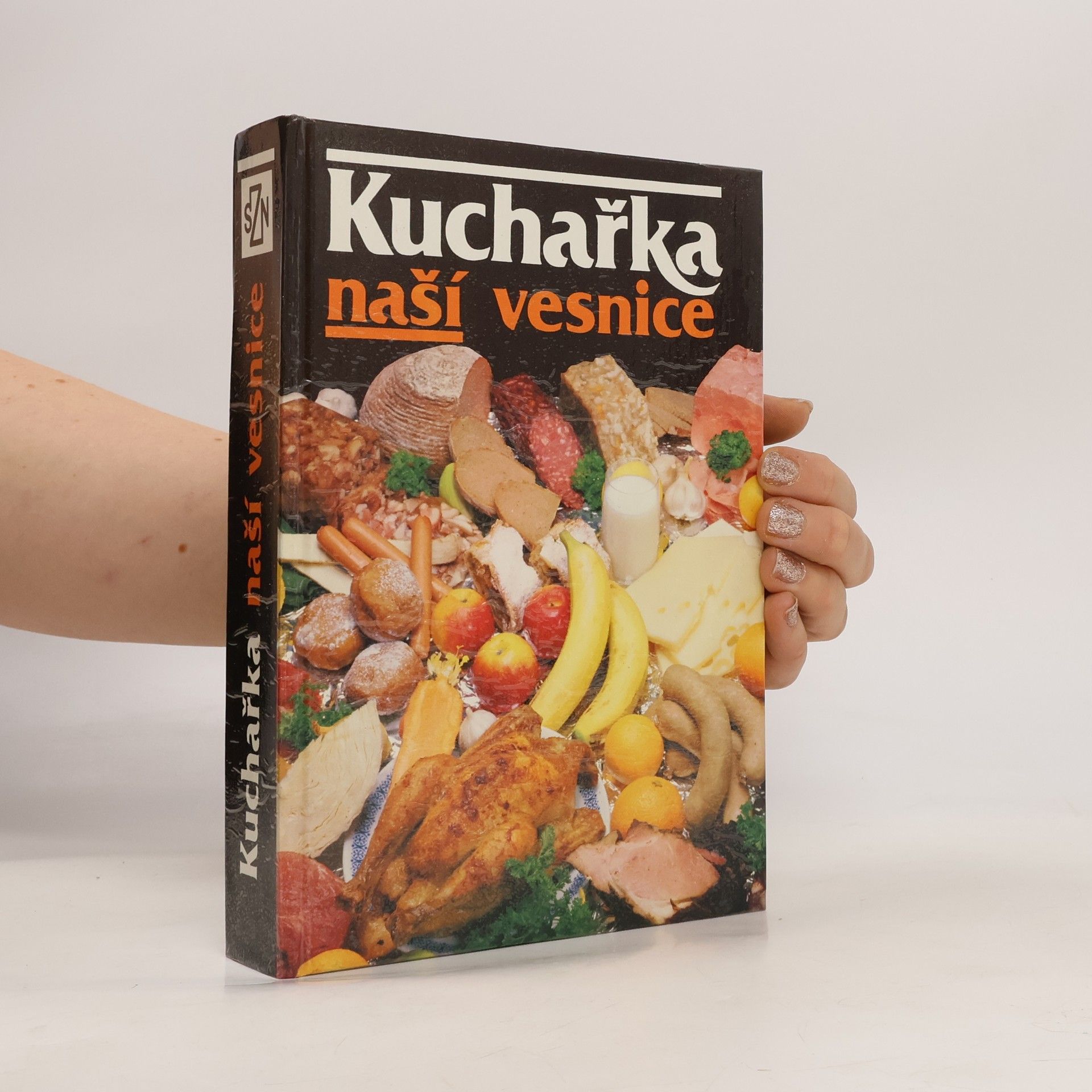 Vladimír Havelka Kuchařka naší vesnice