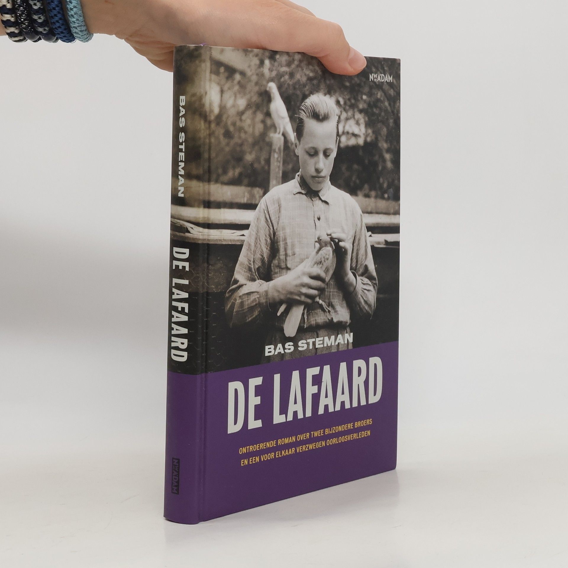 Bas Steman De lafaard. Ontroerende roman over twee bijzondere broers en een verzwegen oorlogsverleden