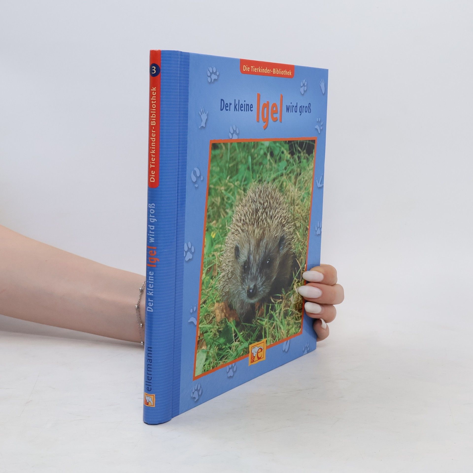 Sandra Grimm Der kleine Igel wird groß