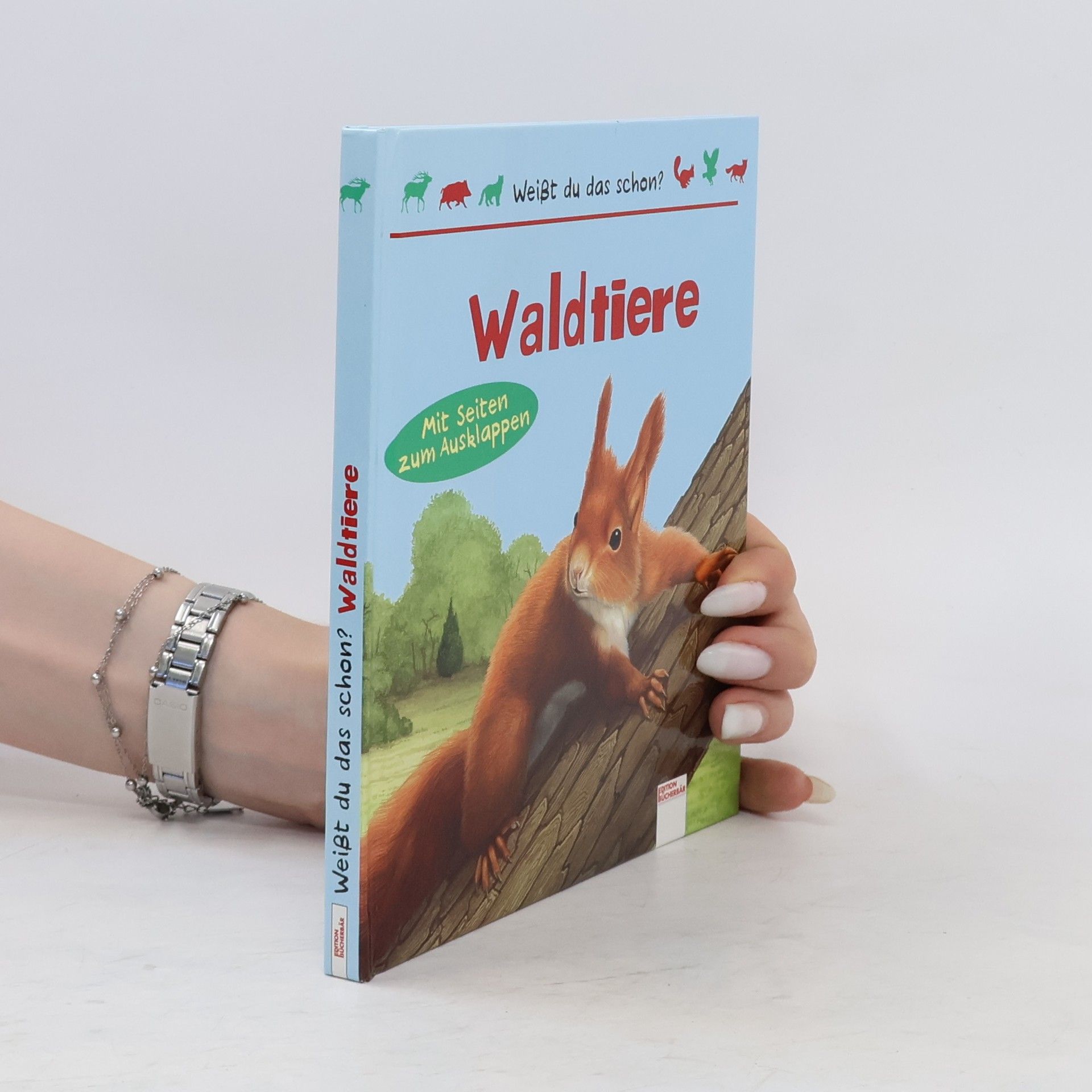Silvia Schroer Tiere im Wald