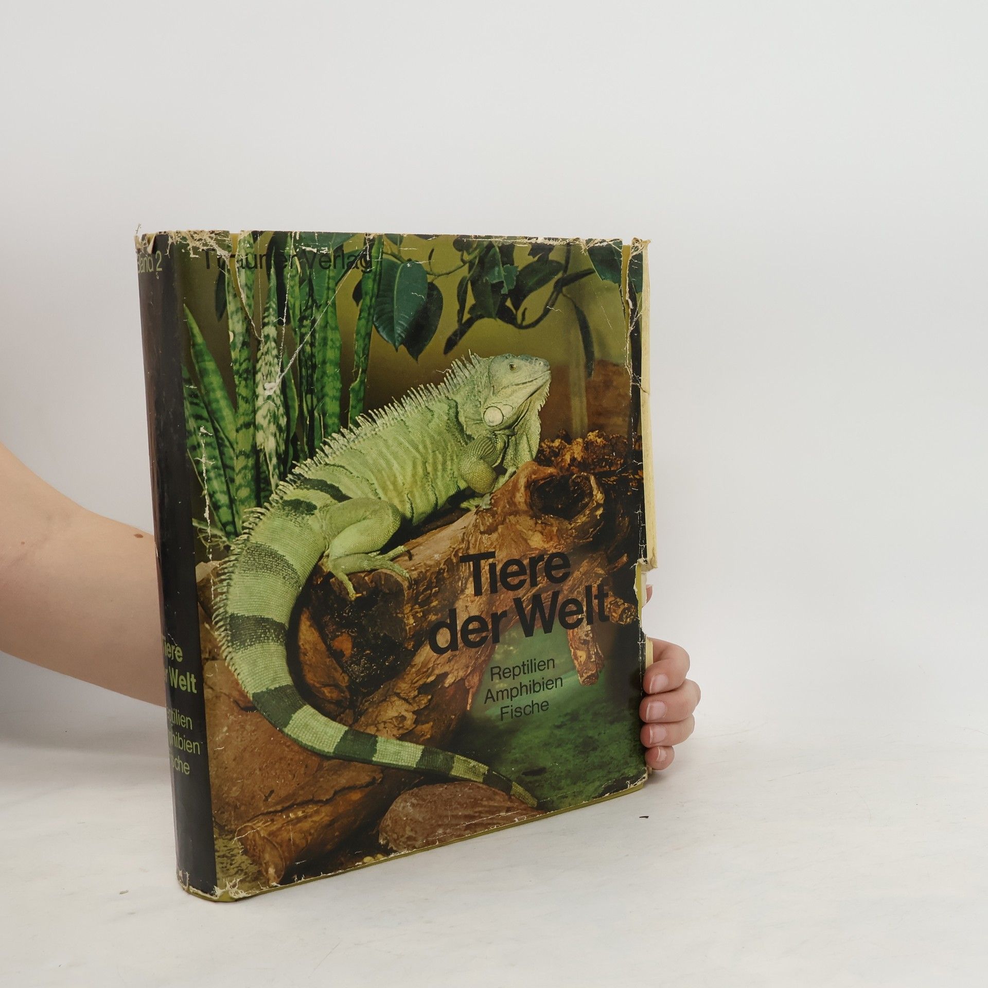 Collective Tiere der Welt 2. Reptilien, Amphibien, Fische