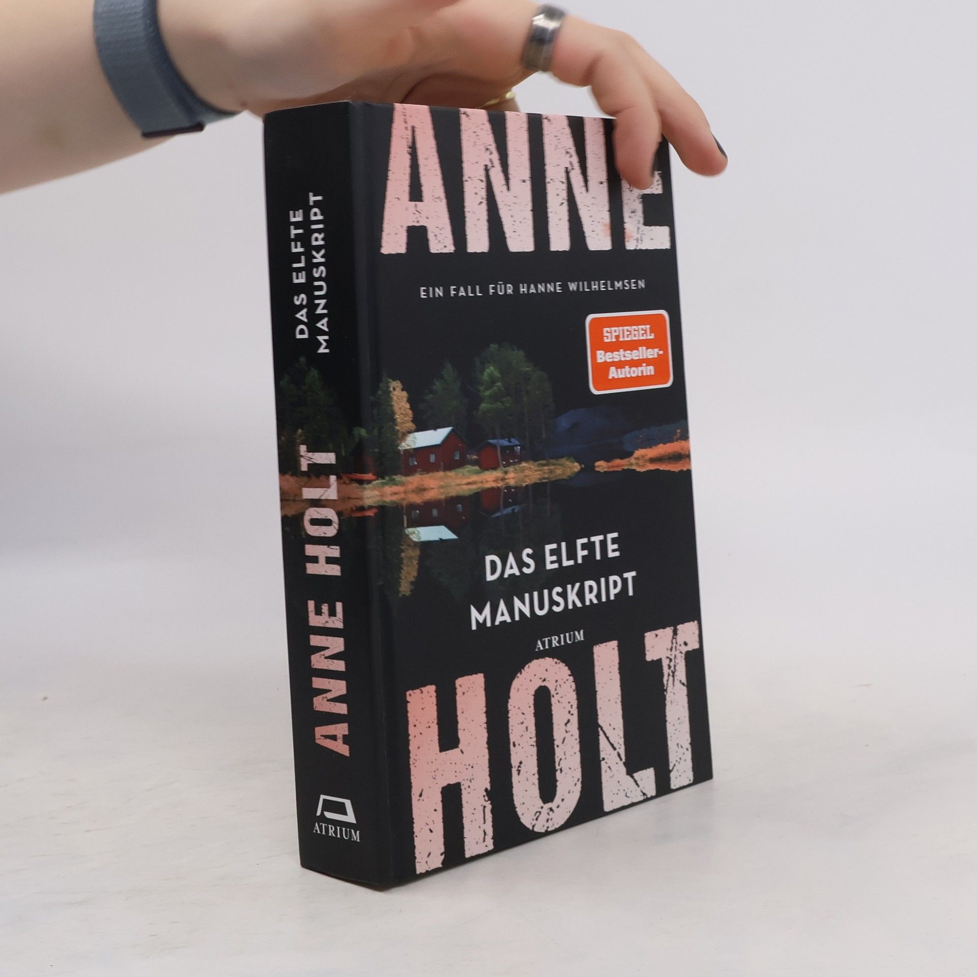 Anne Holt Das elfte Manuskript. Ein Fall für Hanne Wilhelmsen