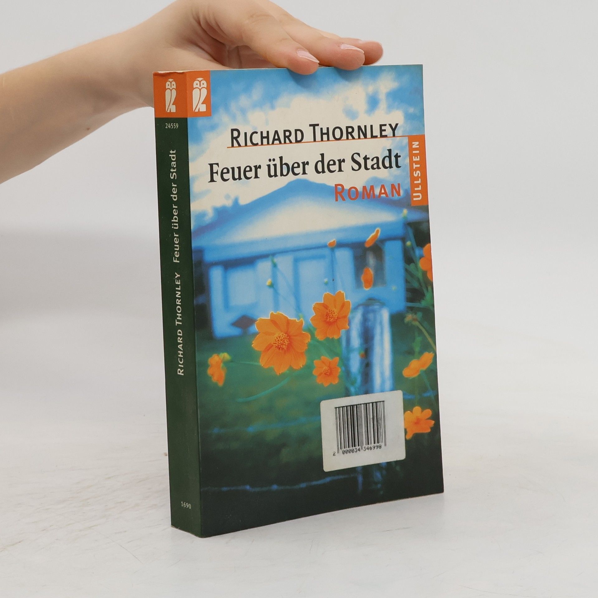 Richard Thornley Feuer über der Stadt