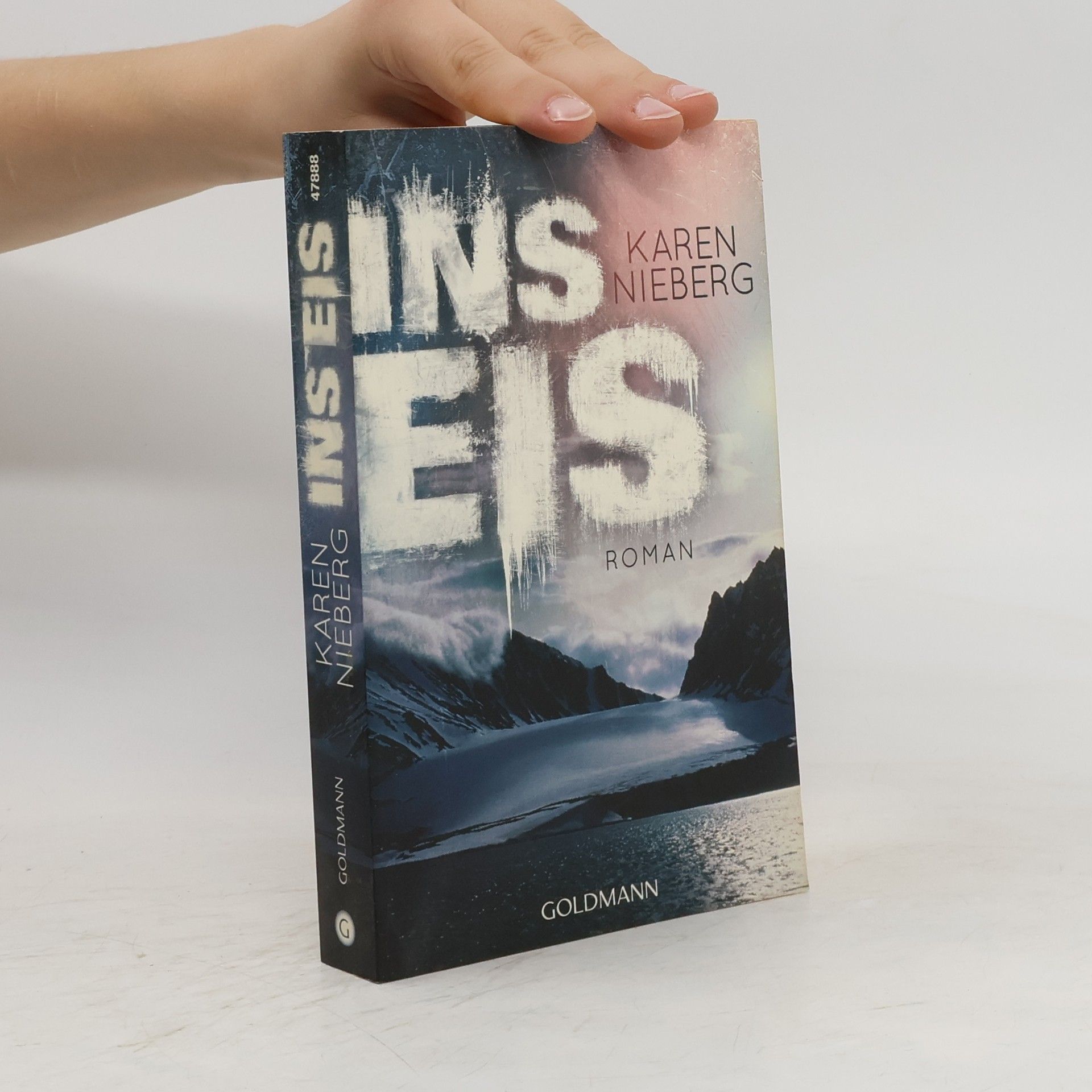 Karen Nieberg Ins Eis