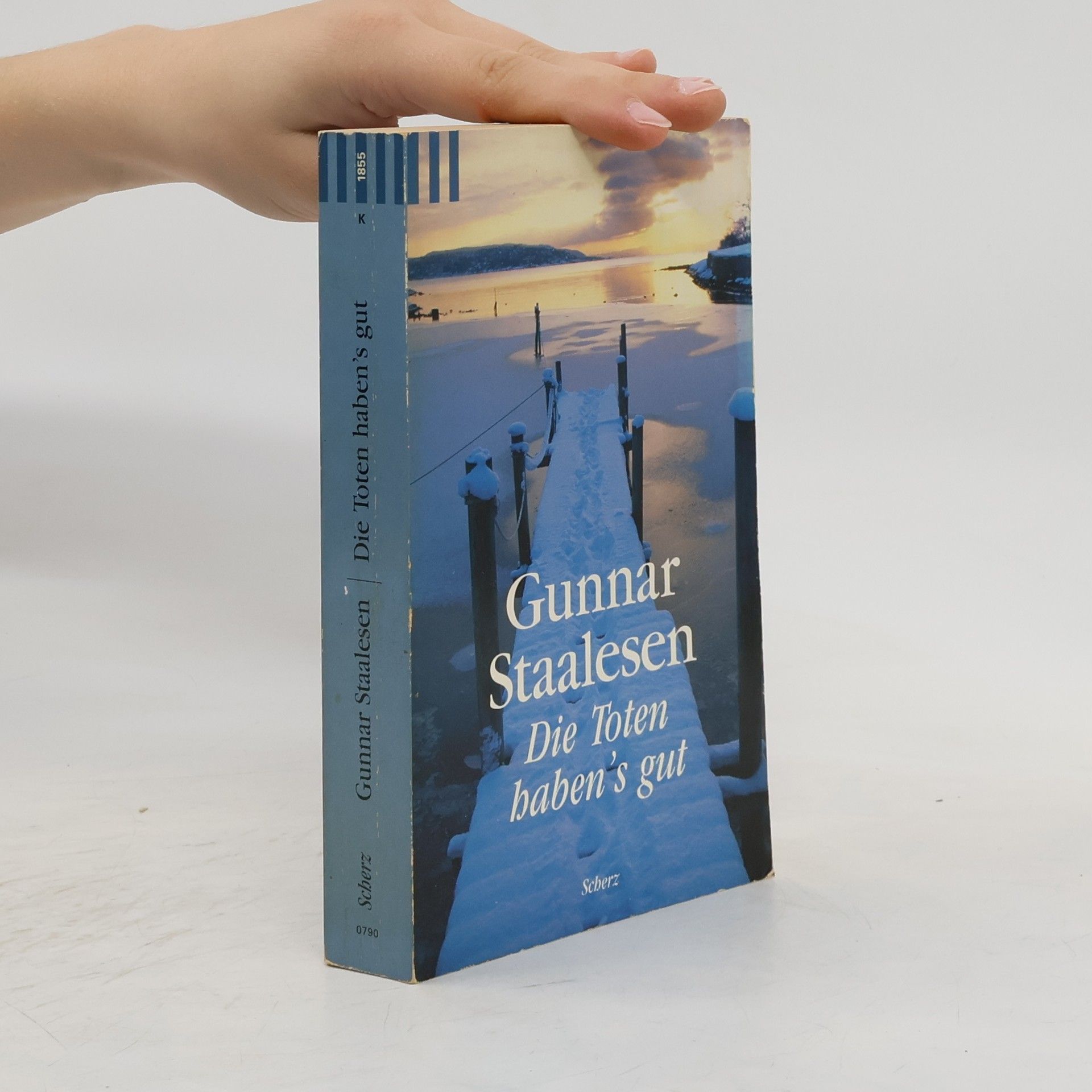 Gunnar Staalesen Die Toten haben's gut