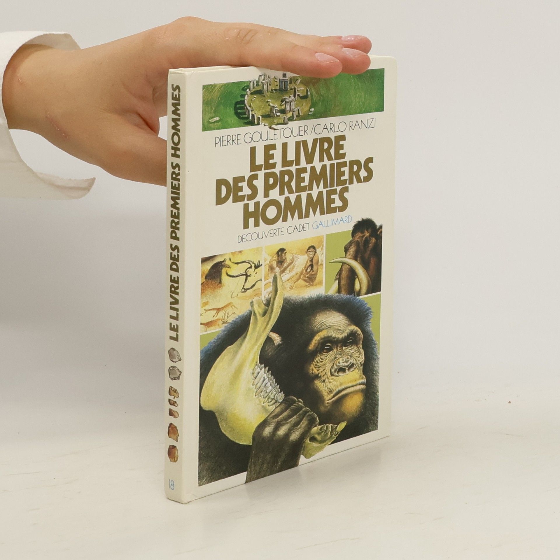 Pierre-Louis Gouletquer Le livre des premier hommes