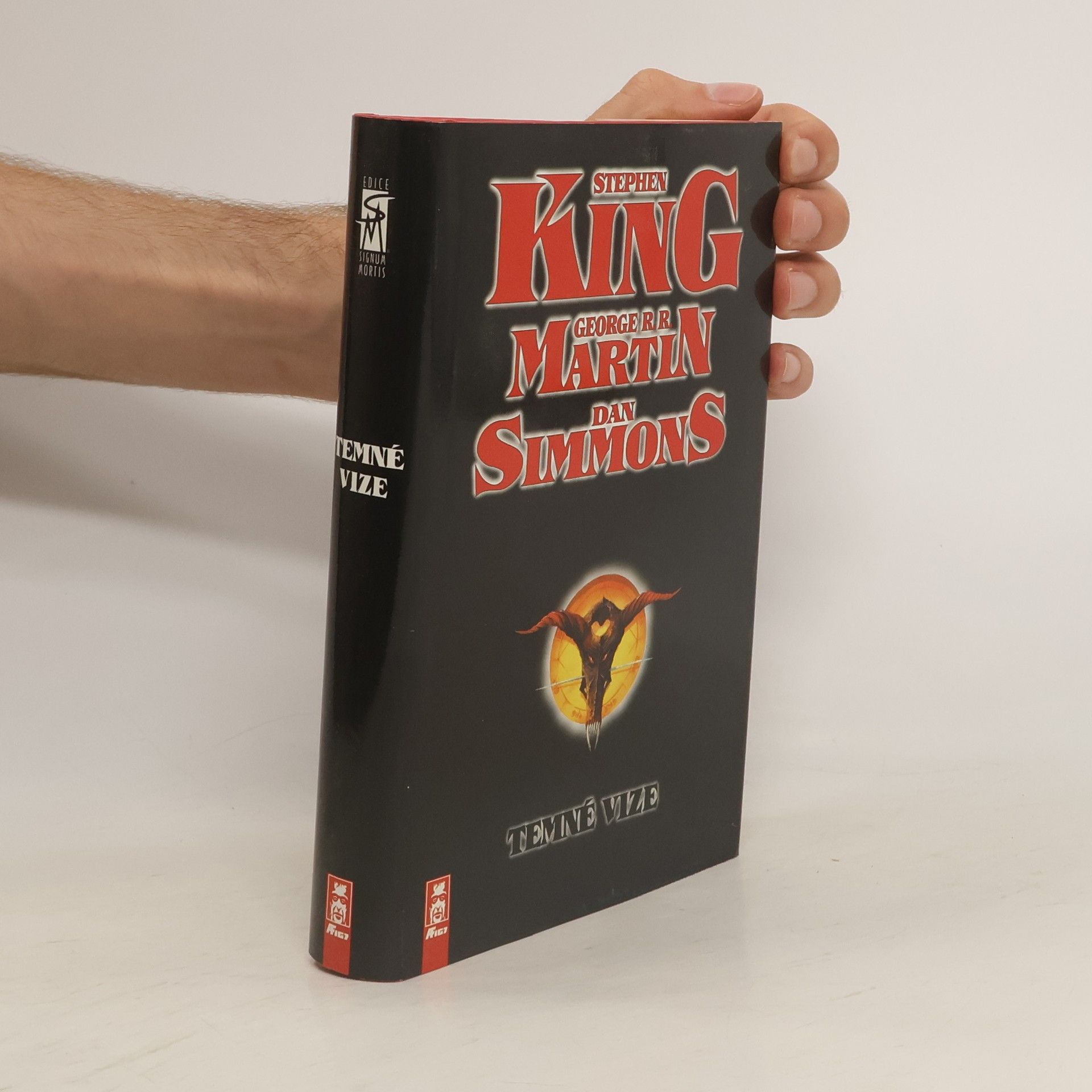 Stephen King Temné vize