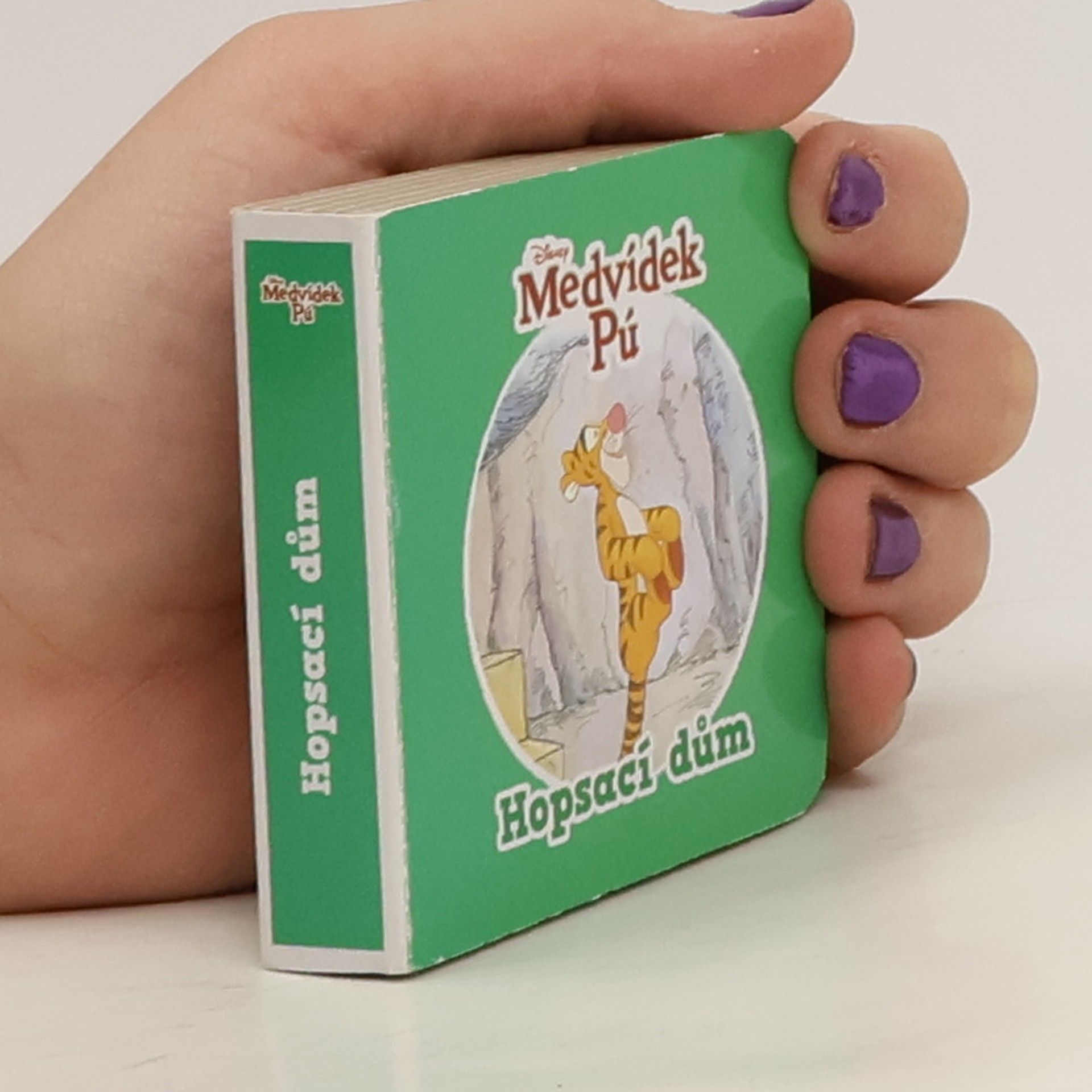 kolektiv Medvídek Pú Hopsací dům