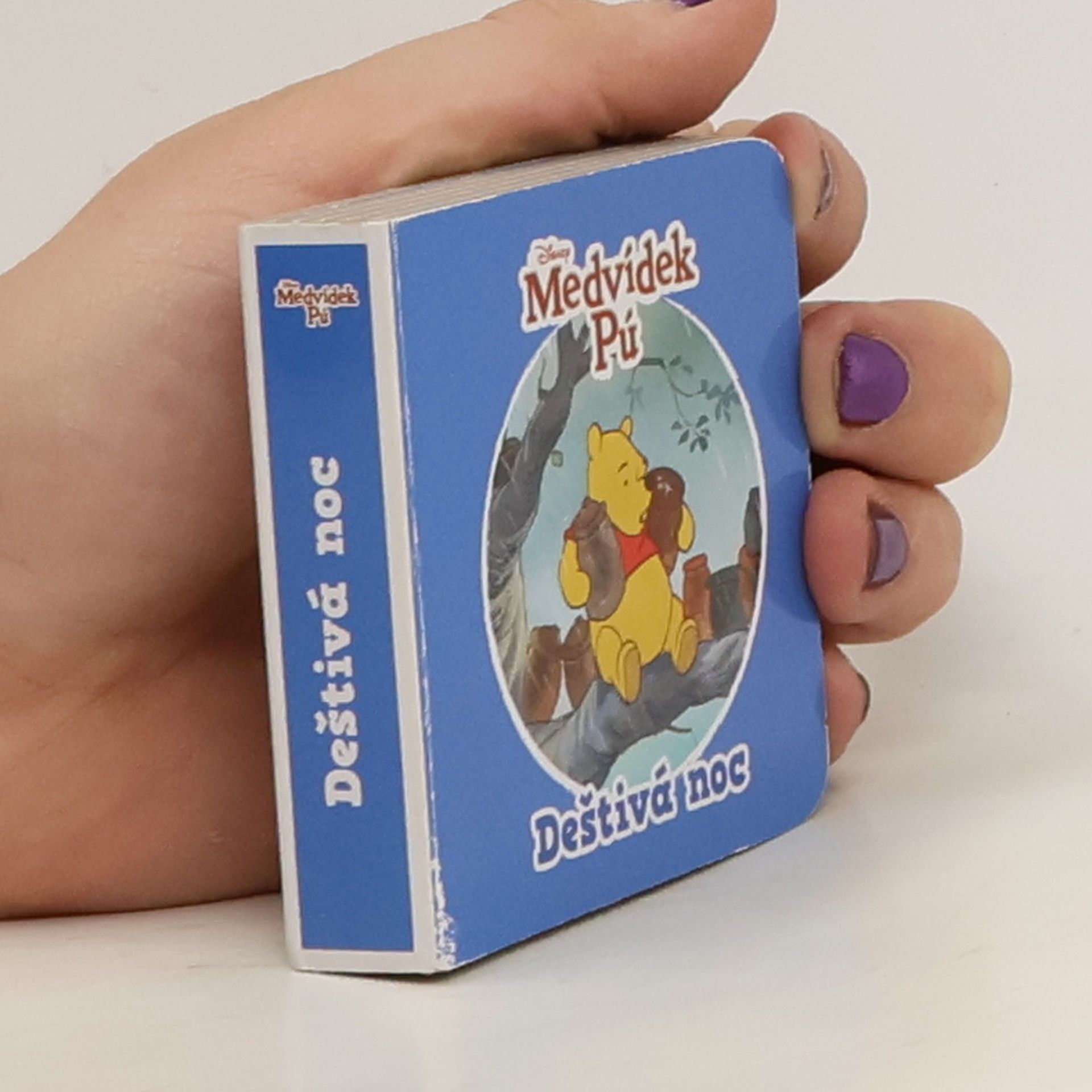 kolektiv Medvídek Pú: Deštivá noc