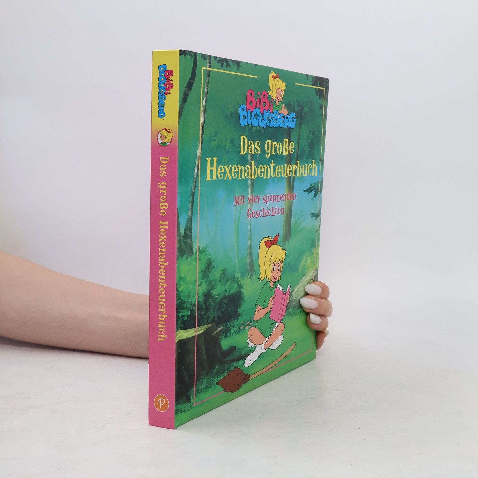 Jutta Dahn Das große Hexenabenteuerbuch