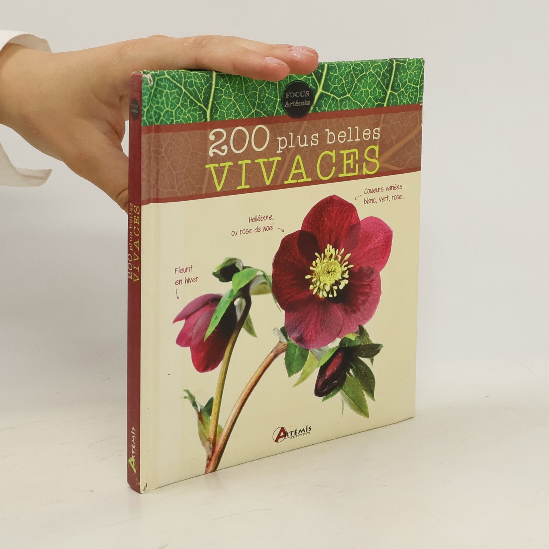 Michel Beauvais 200 plus belles vivaces