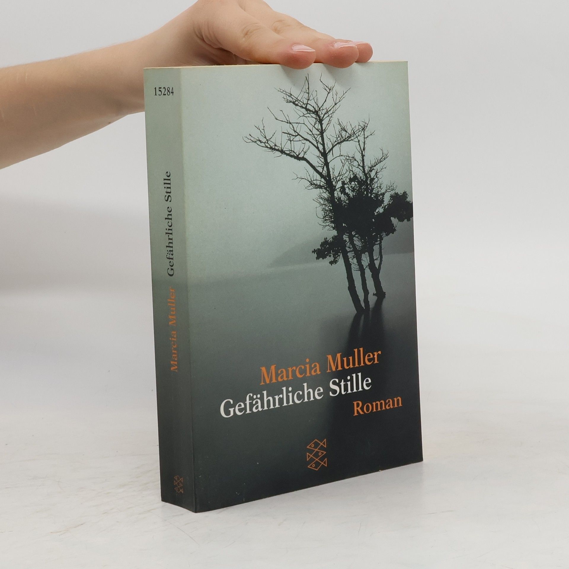 Marcia Muller Gefährliche Stille
