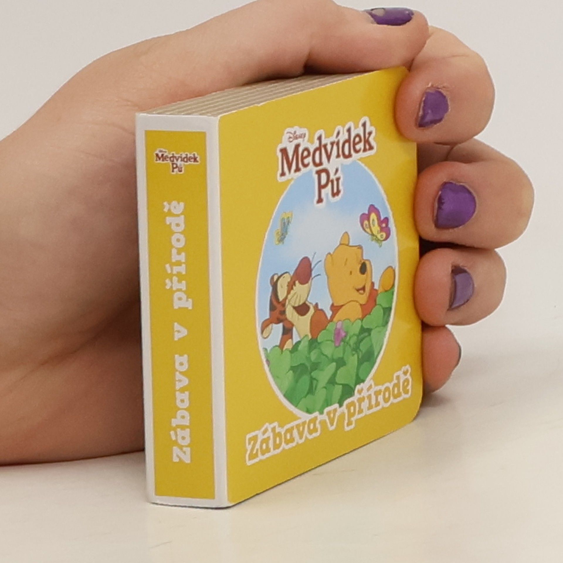 Walt Disney Medvídek Pú. Zábava v přírodě