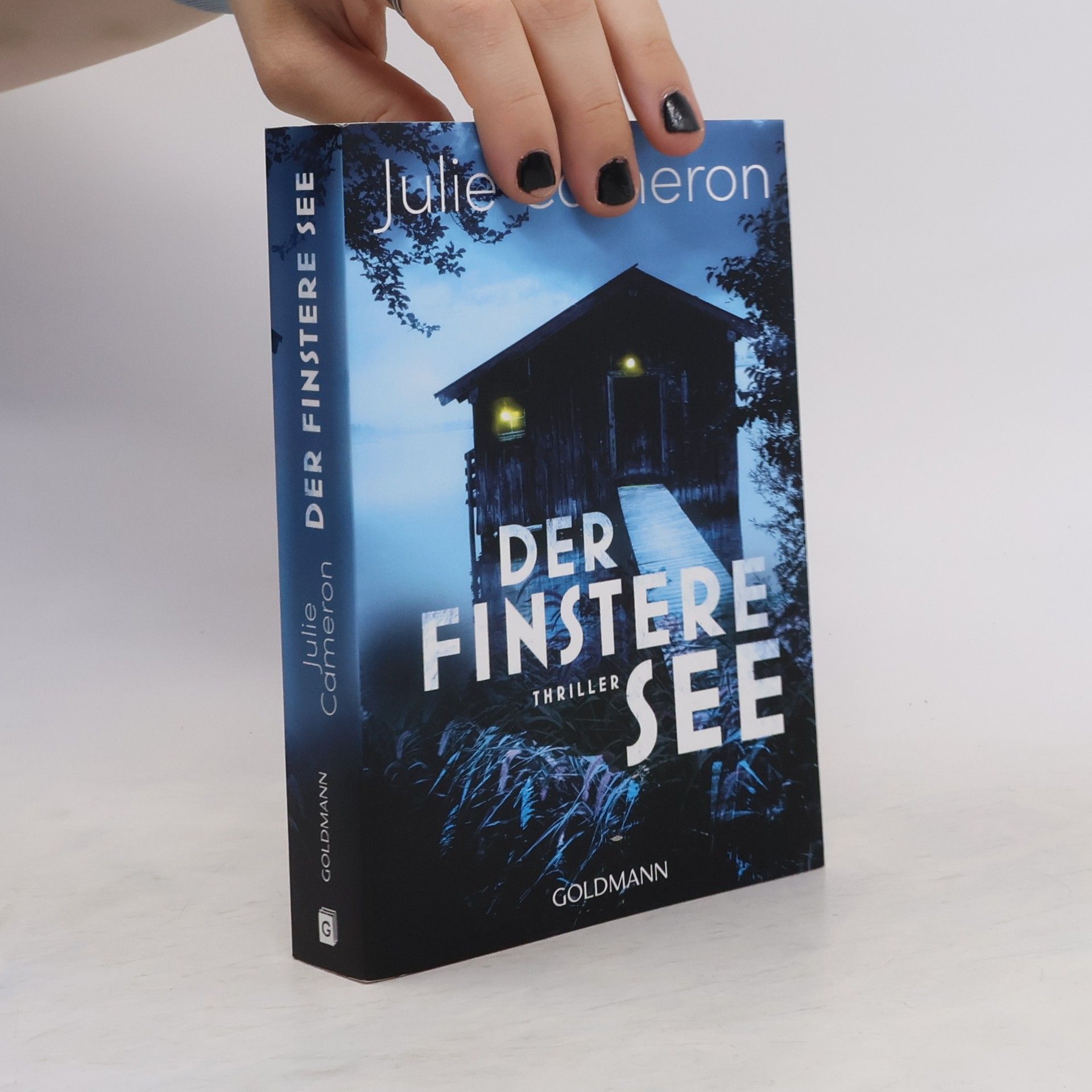 Julie Cameron Der finstere See